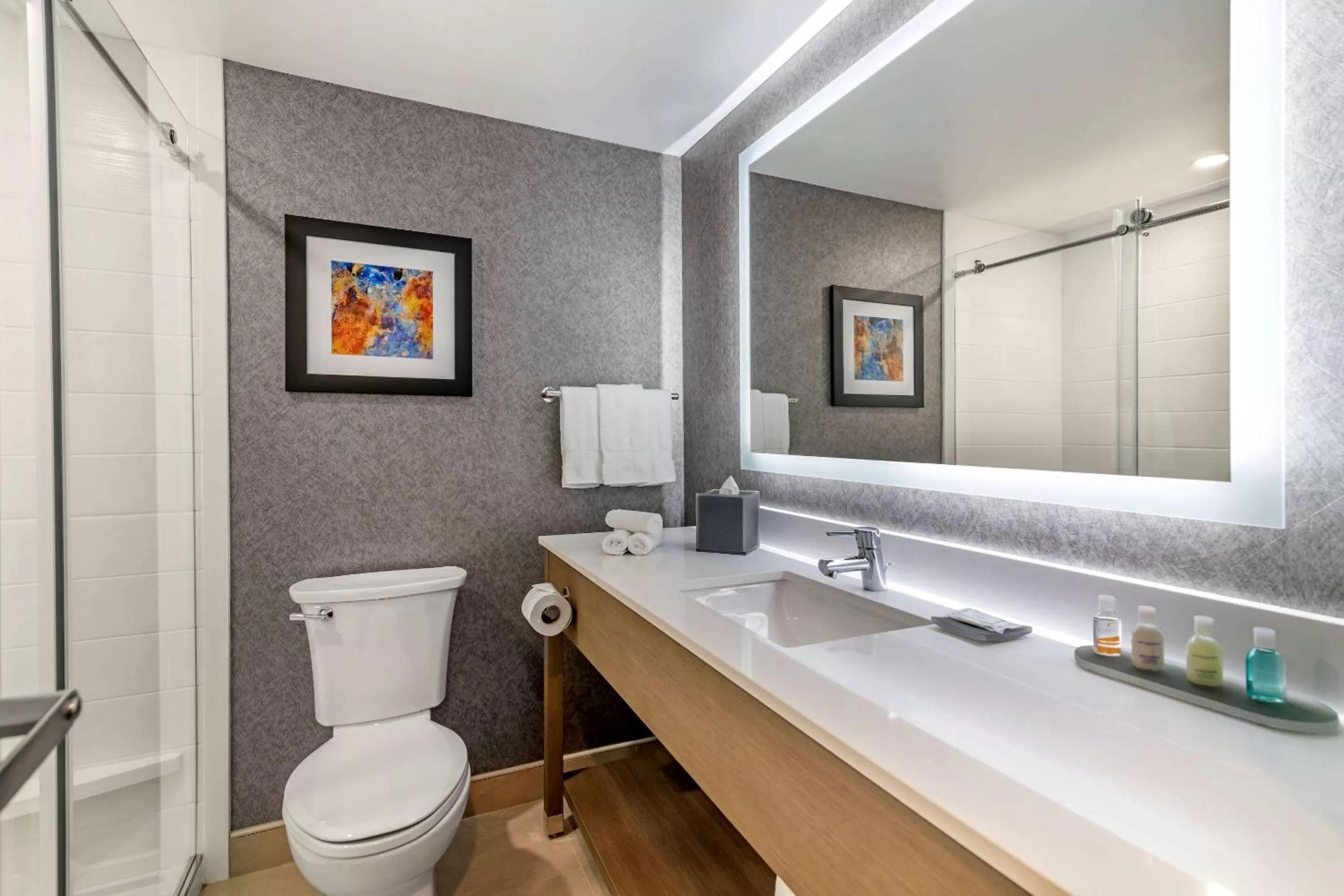 Bathroom in Clarion Inn Nashua