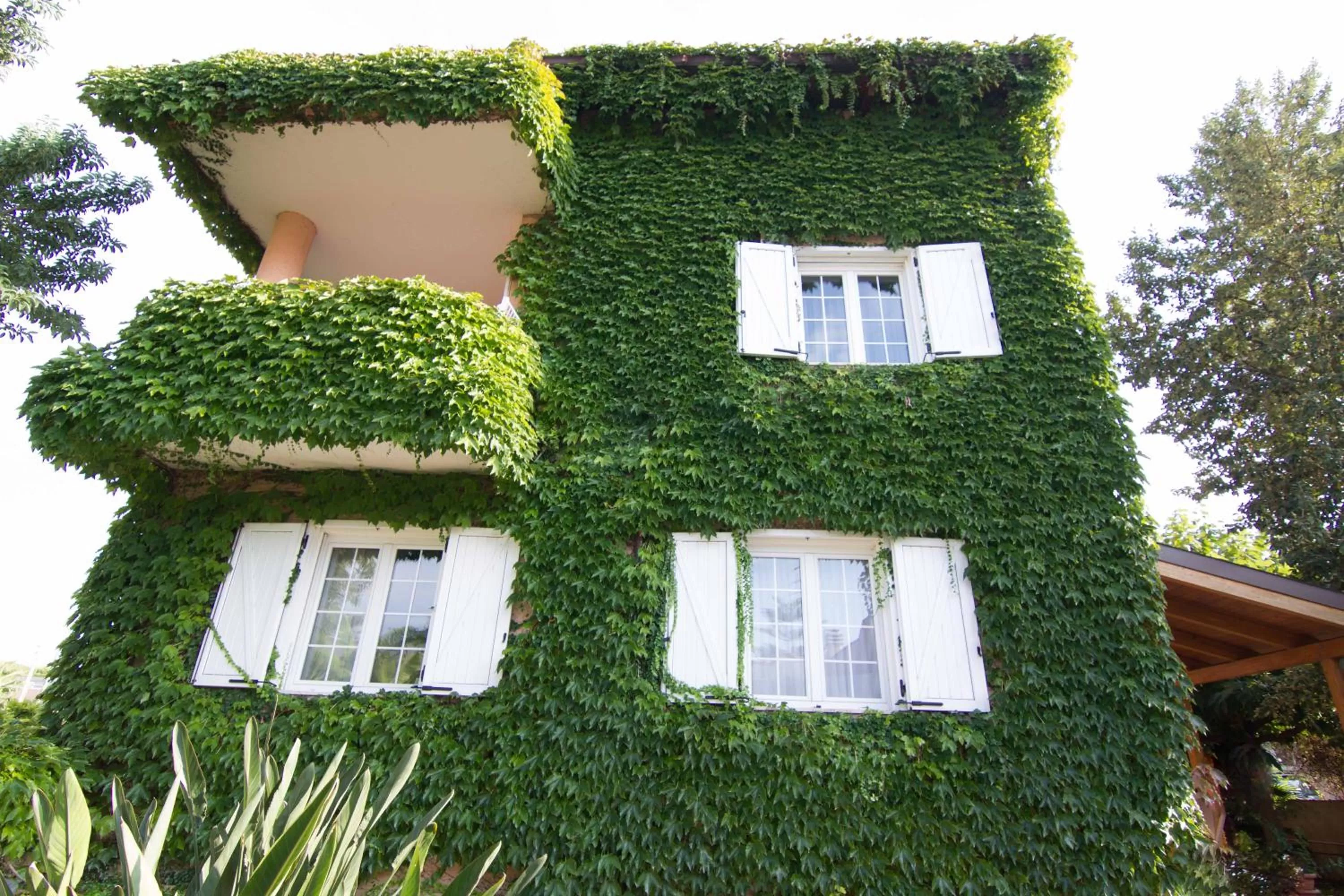 Facade/entrance in Il Giardino delle Jacaranda