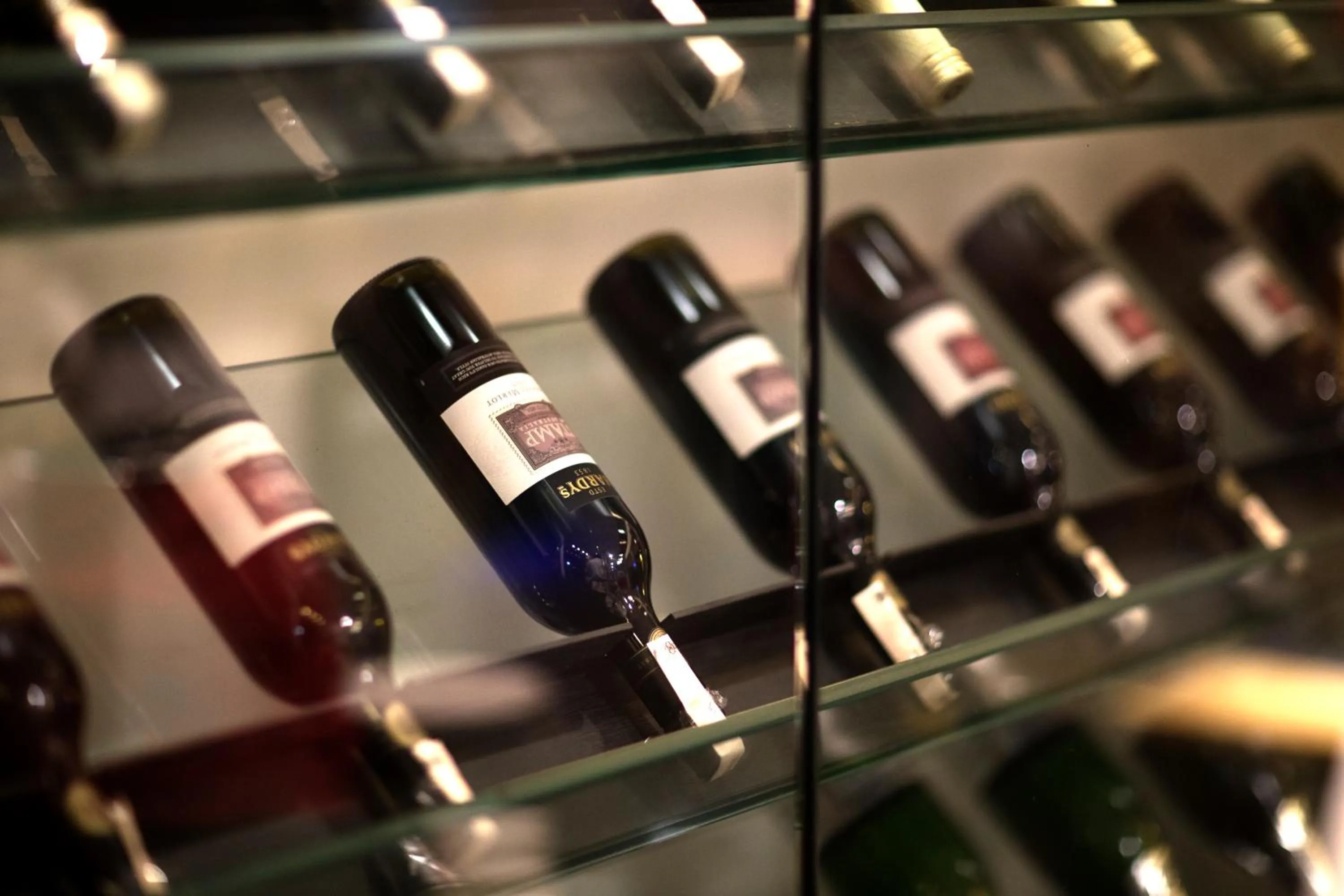 Drinks in Yogi Executive, Navi Mumbai