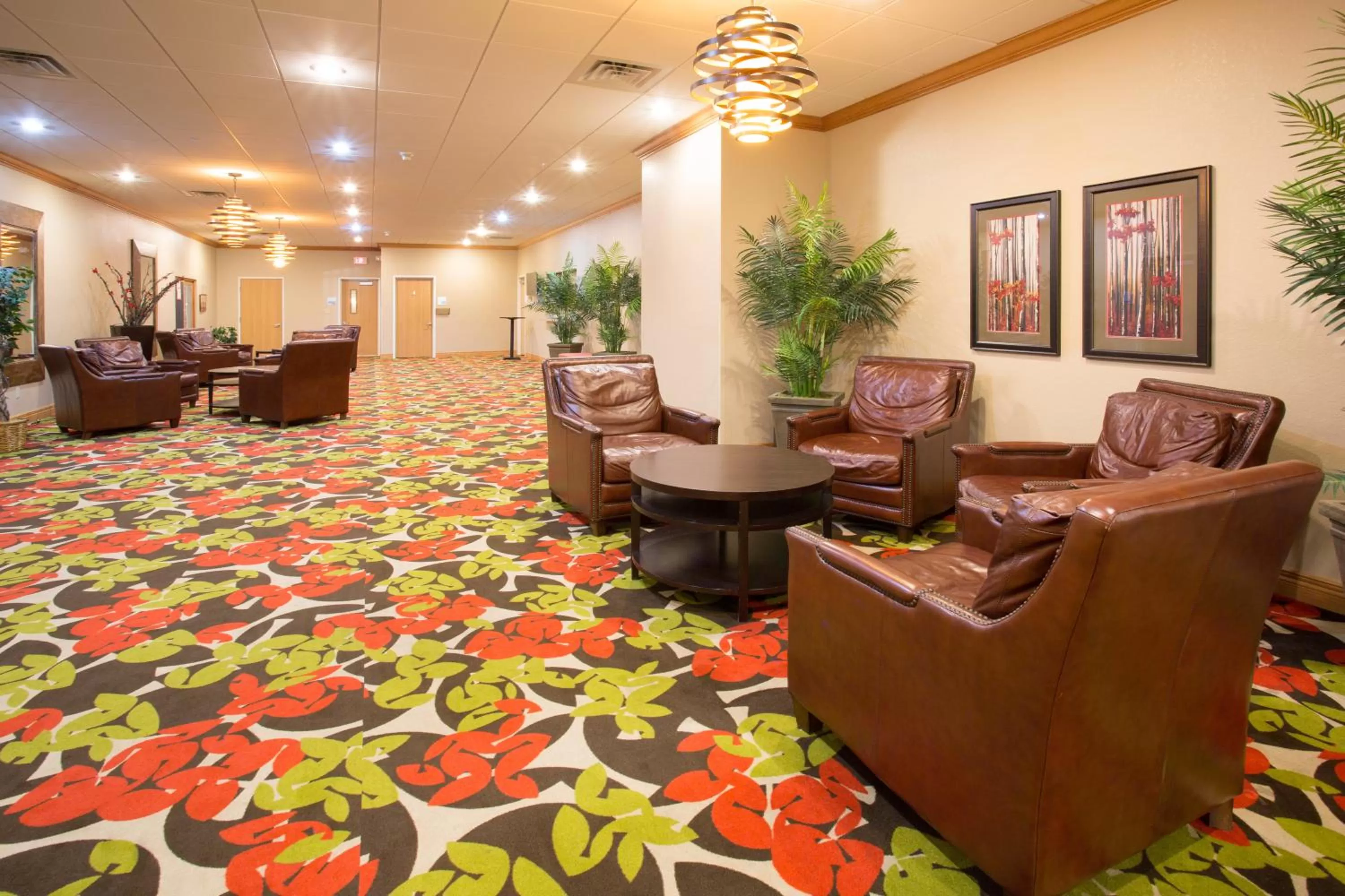Meeting/conference room in Holiday Inn Express Hotel & Suites Lexington by IHG