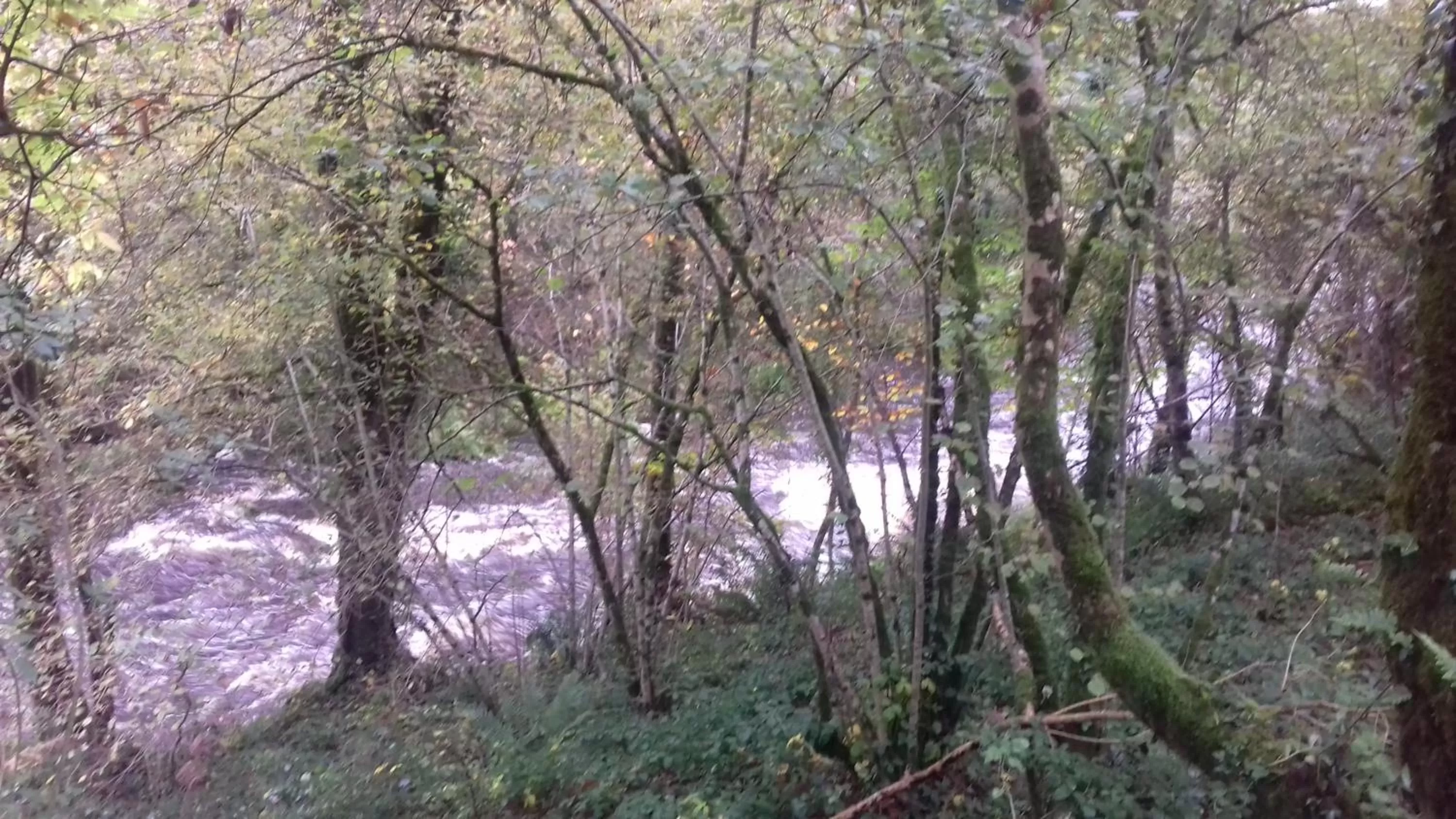 Nearby landmark, Natural Landscape in LES DEUX RIVIERES - Chambres & Table d'Hôtes -