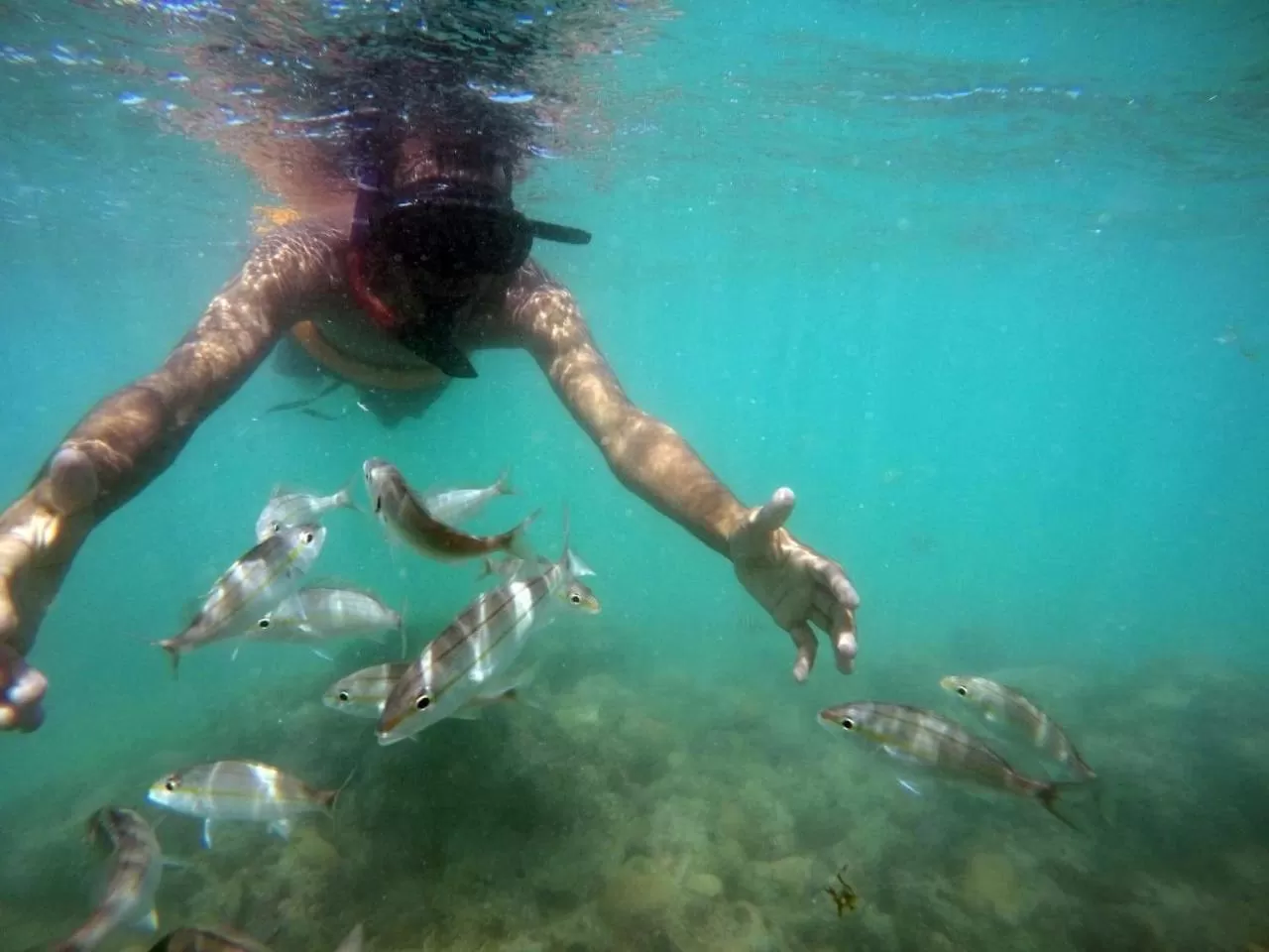 Off site, Snorkeling/Diving in Hostel Das Canárias