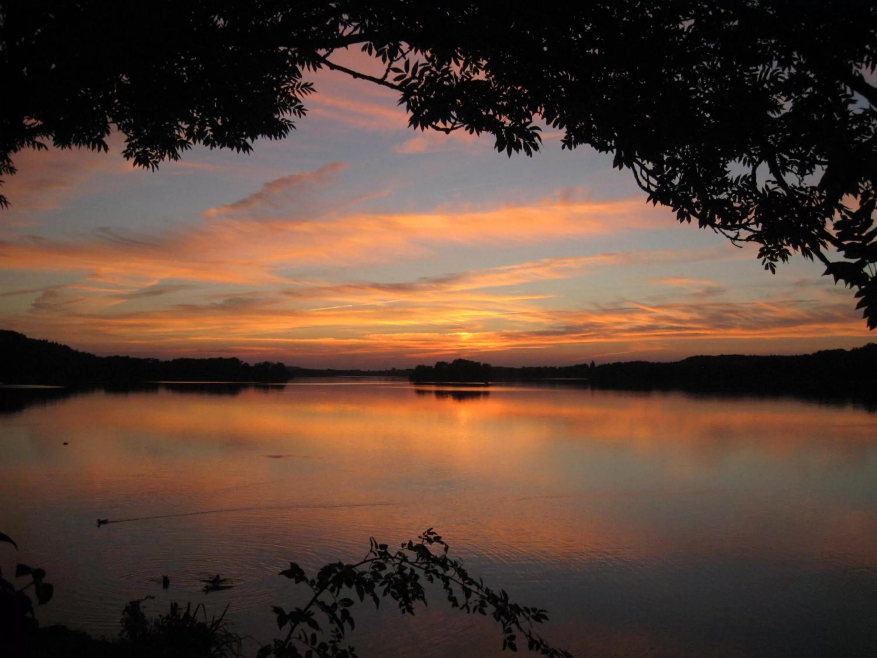 Summer in Hotel Holsteinische Schweiz am Dieksee