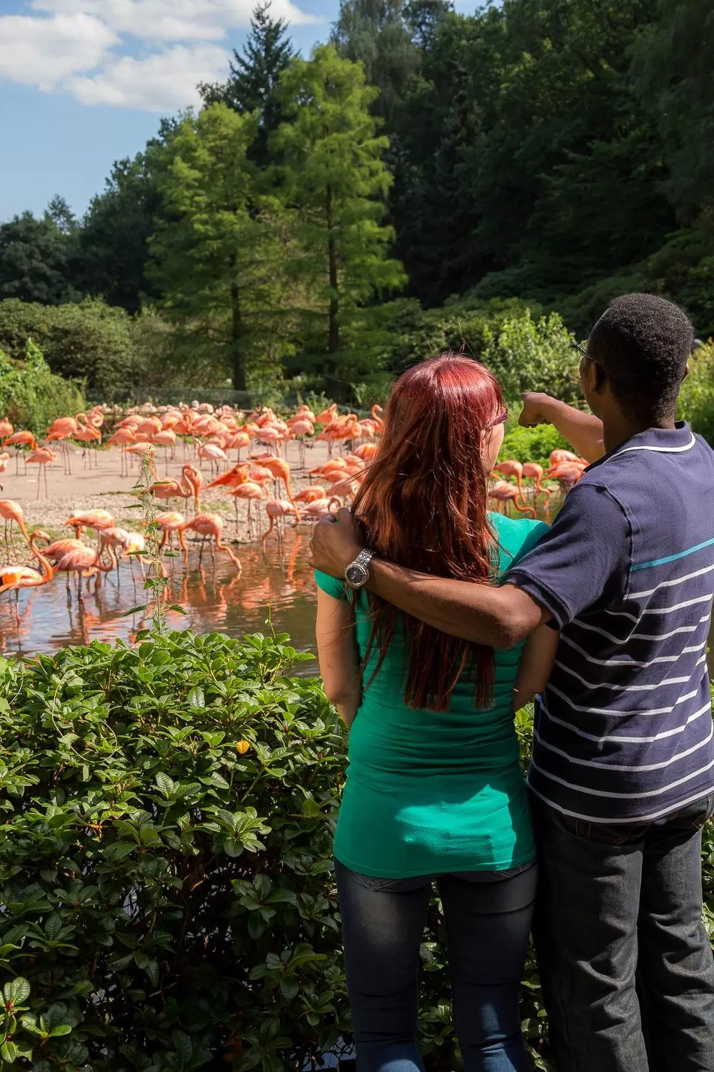 Animals in Anders Hotel Walsrode