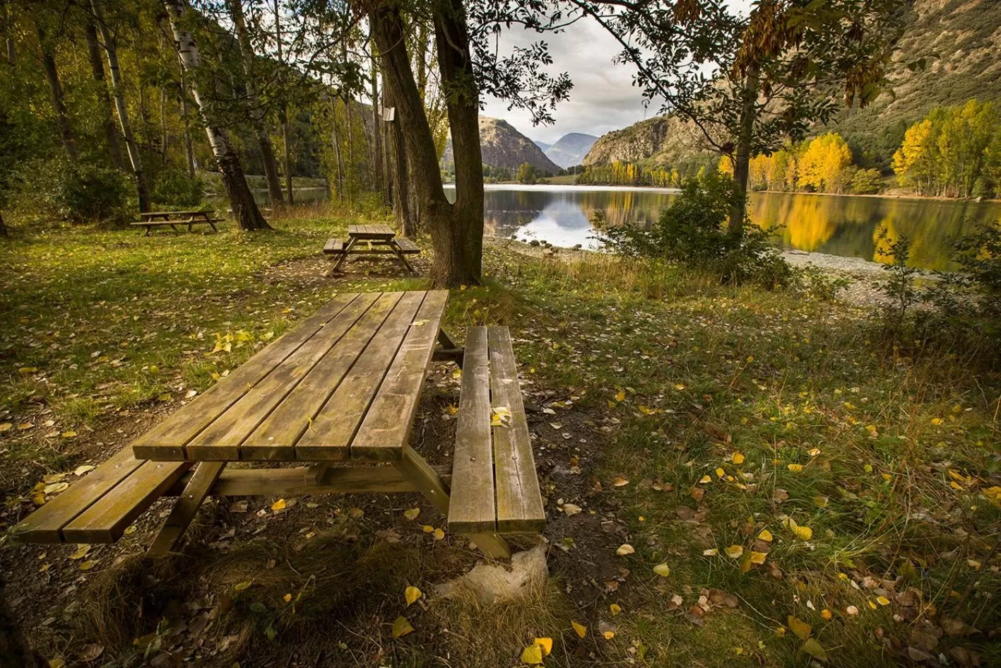 Area and facilities in Hotel Restaurant Les Brases