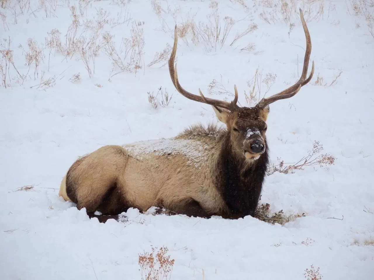 Riversong Inn Retreat