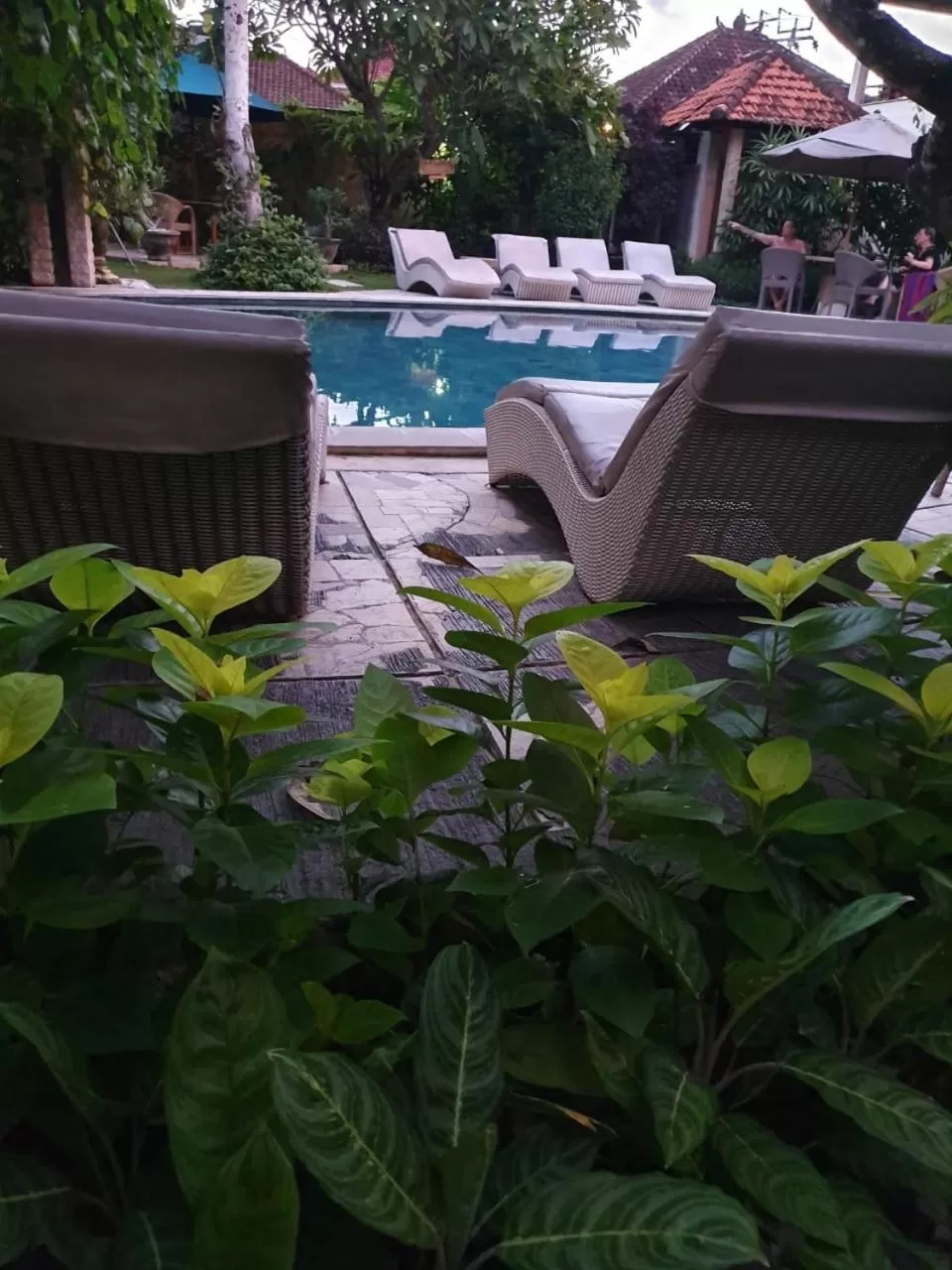 Swimming pool in Kusnadi Hotel