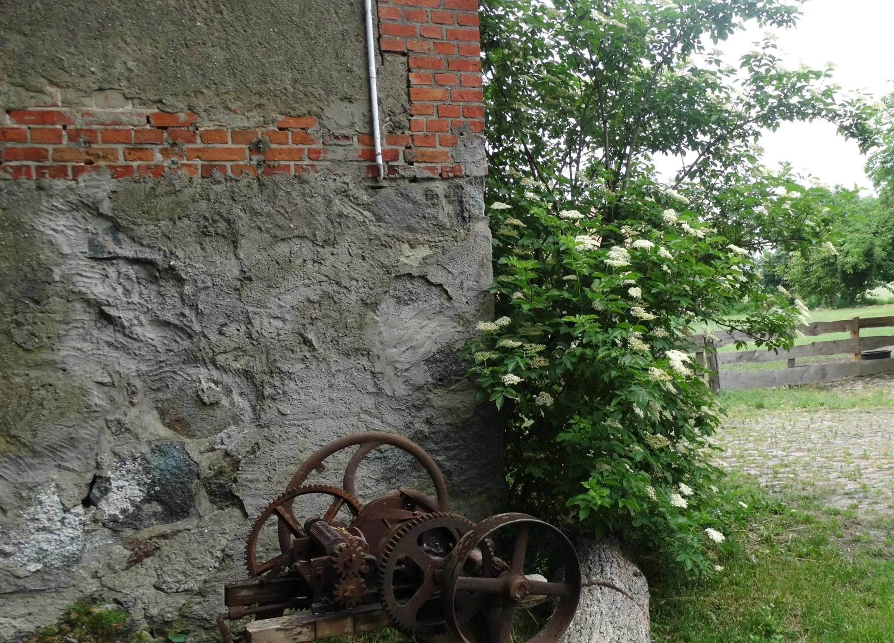 Spring in Dom na Mazurach Pilec