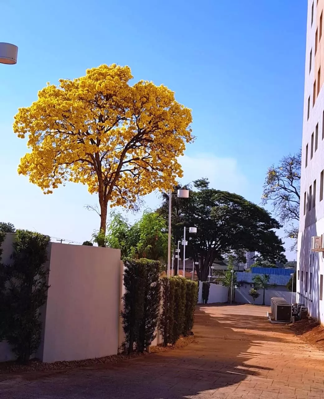 Property building in Ibis Sertaozinho