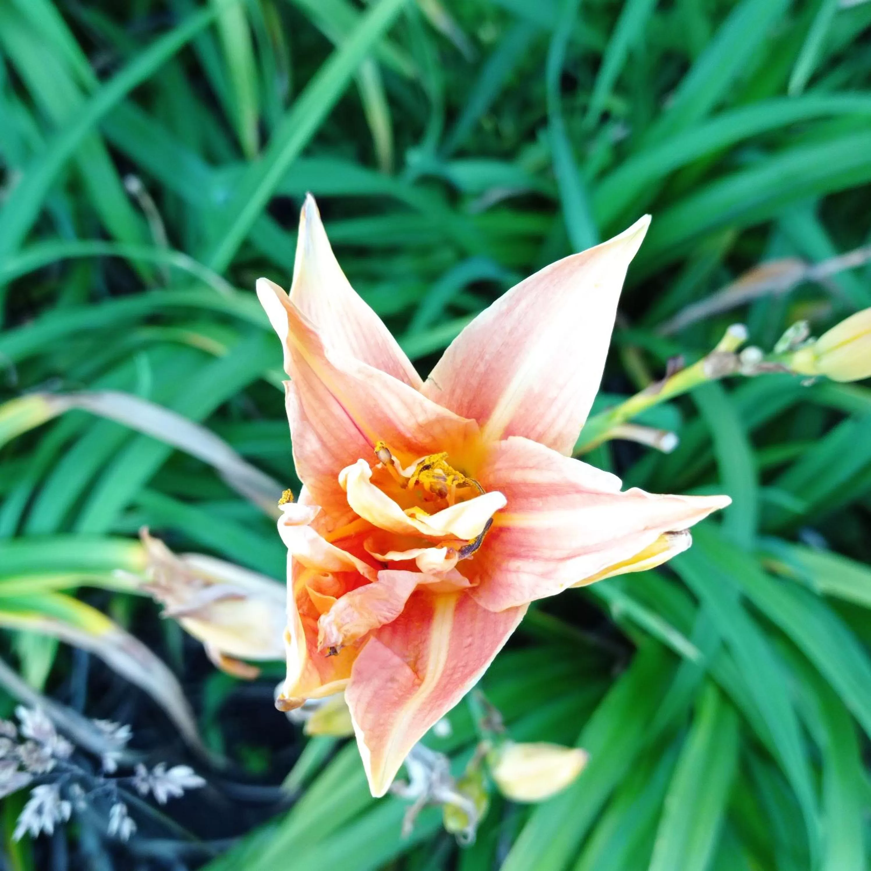 Hotel Refugio Pozo Azul