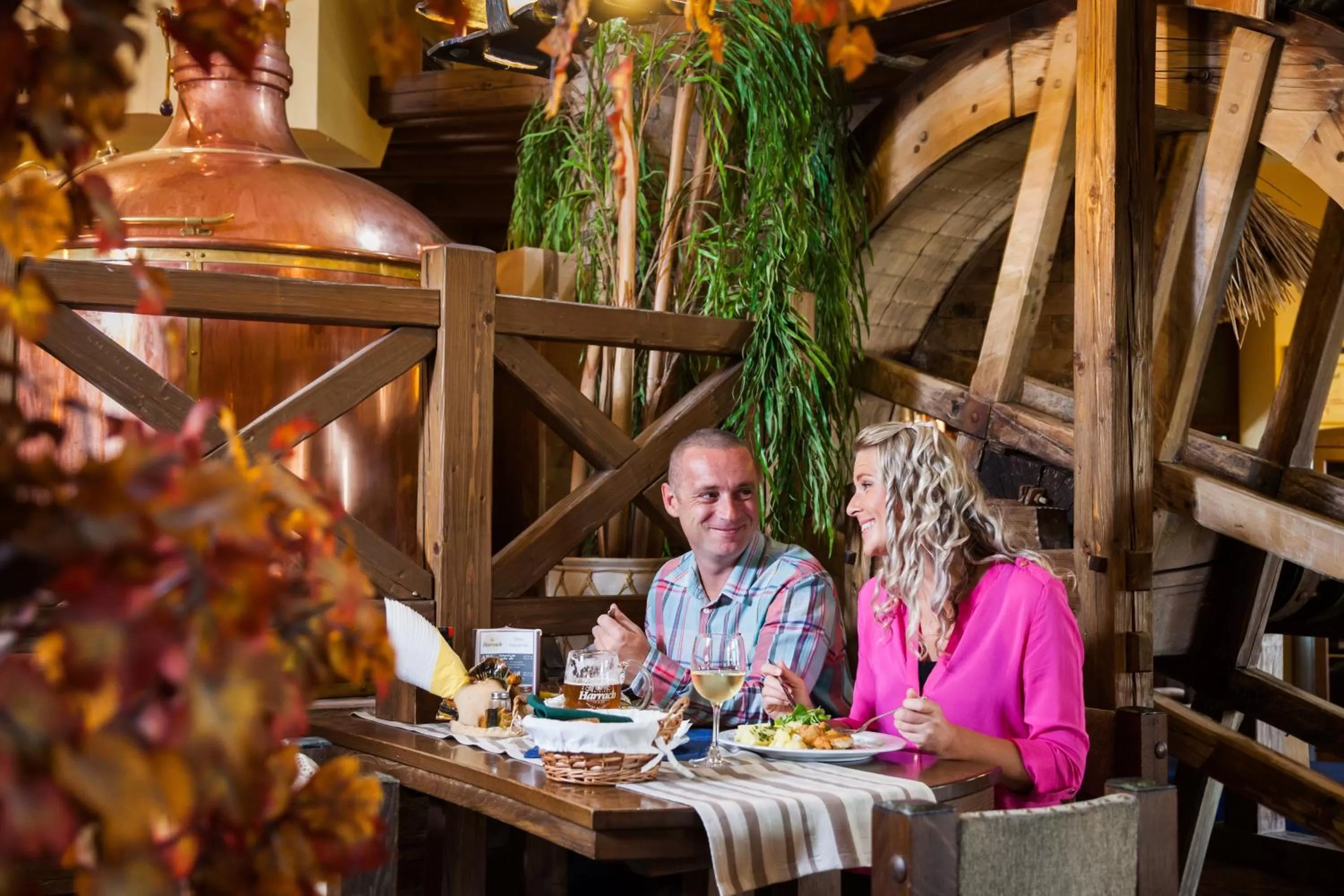 Restaurant/places to eat in Hotel Jelínkova vila