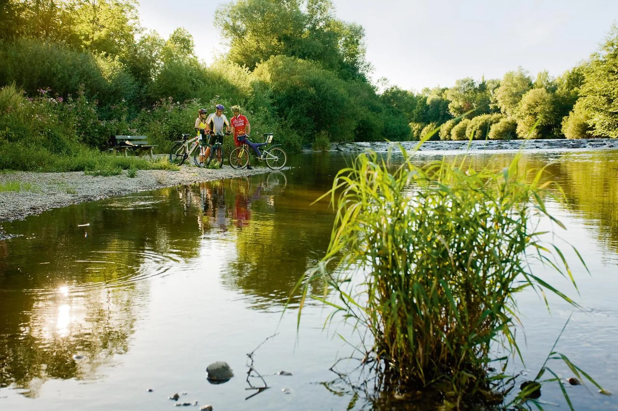 Cycling in Hotel Sonnengut Wellness - Therme - Spa
