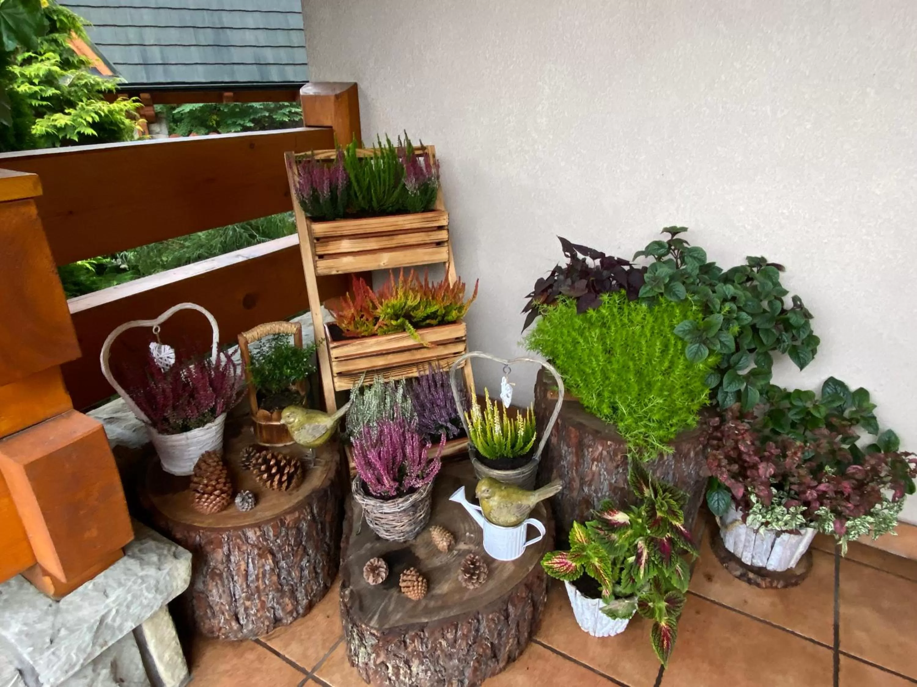 Leśny Dworek Zakopane