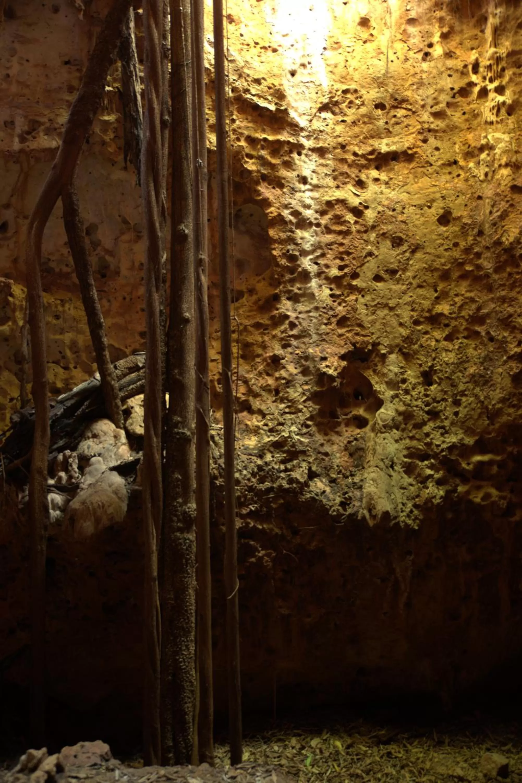 Off site in Hôtel Restaurant Coco Lodge Majunga