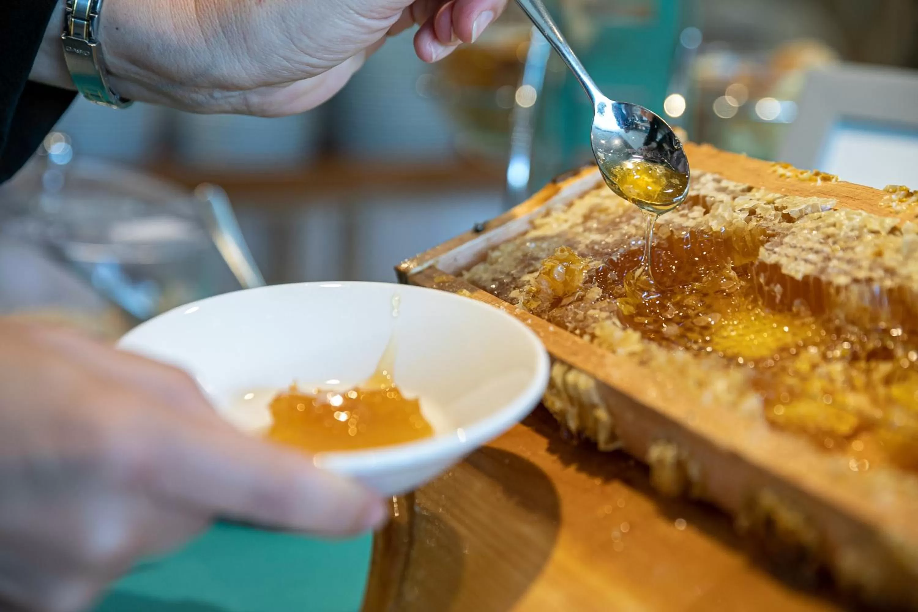 Restaurant/places to eat in The Grand Hotel