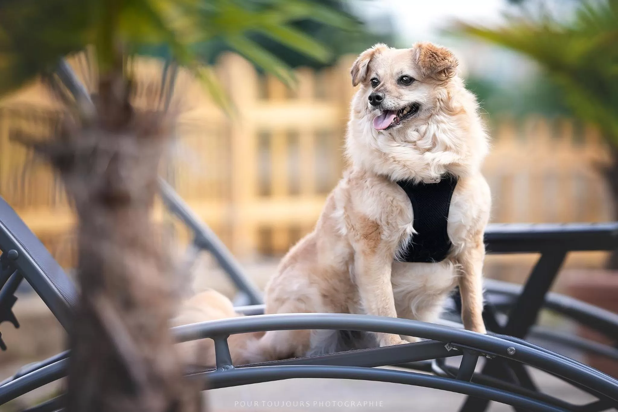 Berghotel Steiger - Erzgebirge