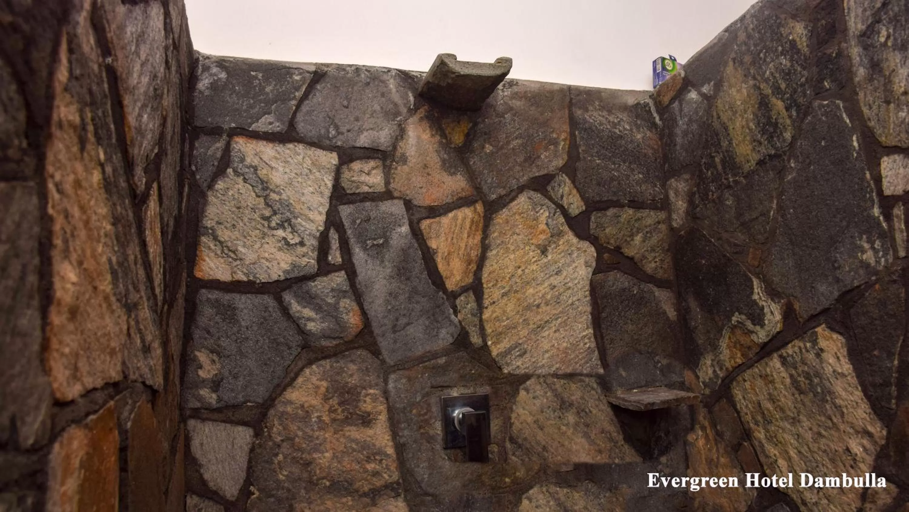 Day in Evergreen Hotel Dambulla