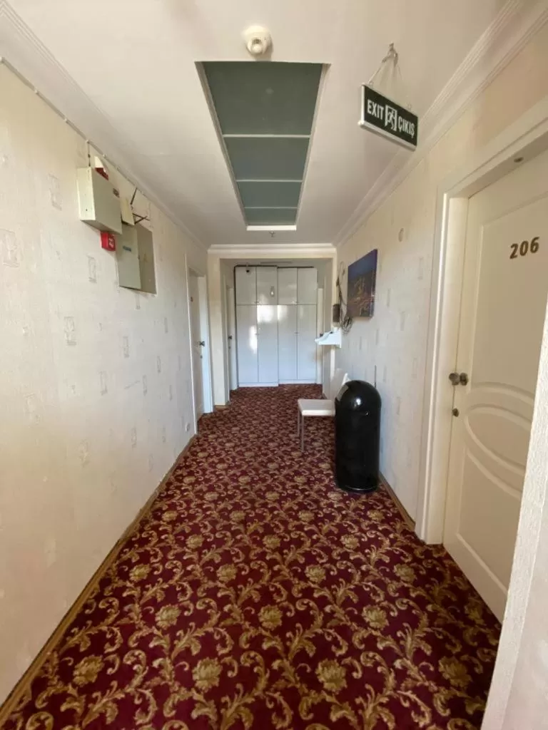 Decorative detail in Sakran Hotel