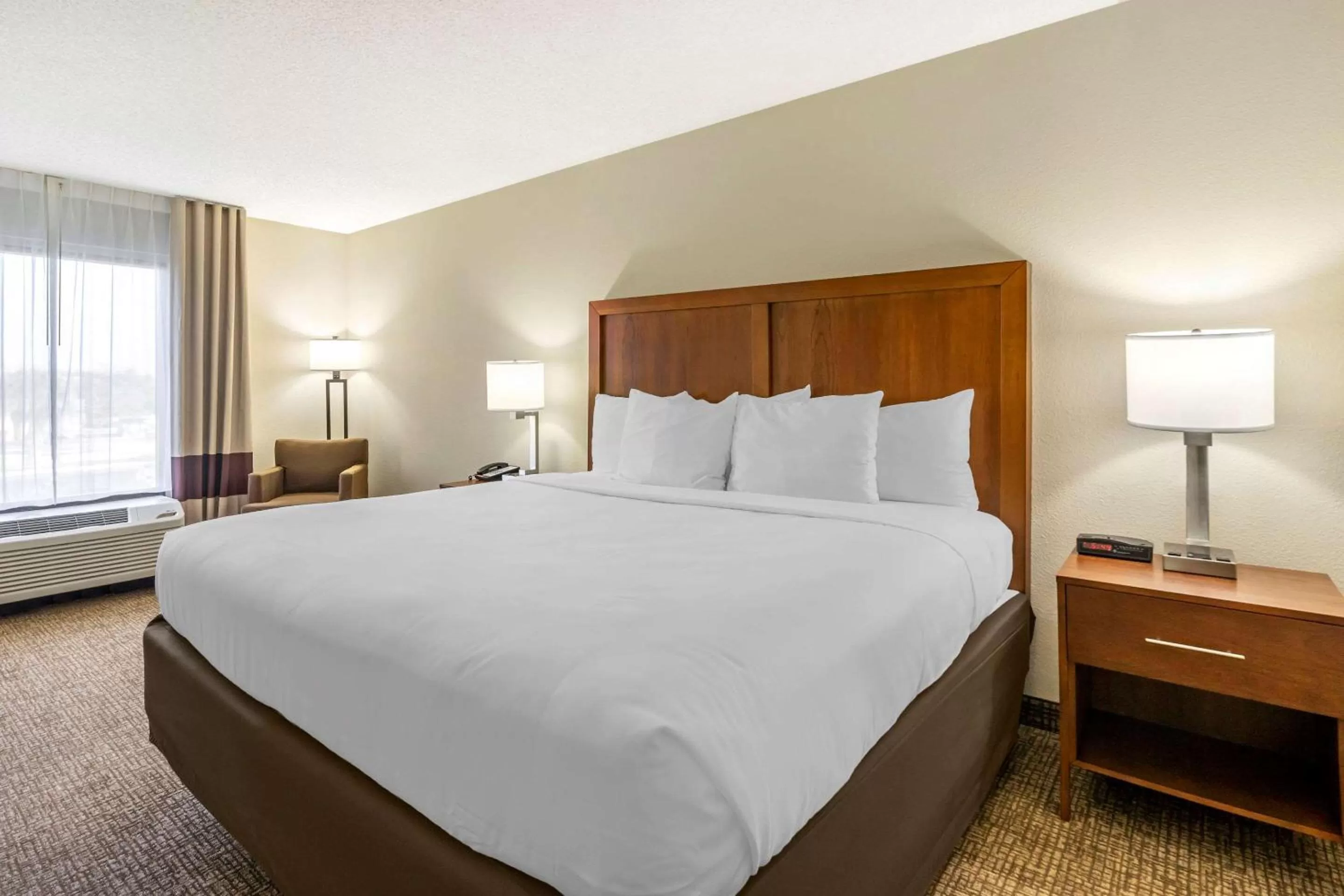 Photo of the whole room, Bed in Comfort Inn & Suites St Pete - Clearwater International Airport