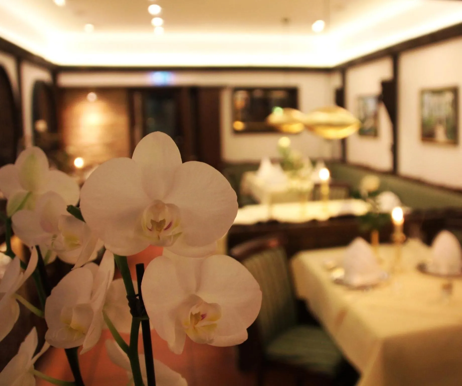 Restaurant/places to eat in Zur Weinsteige