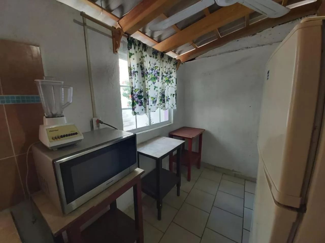 Kitchen or kitchenette in Hotel Ayalamar Manzanillo