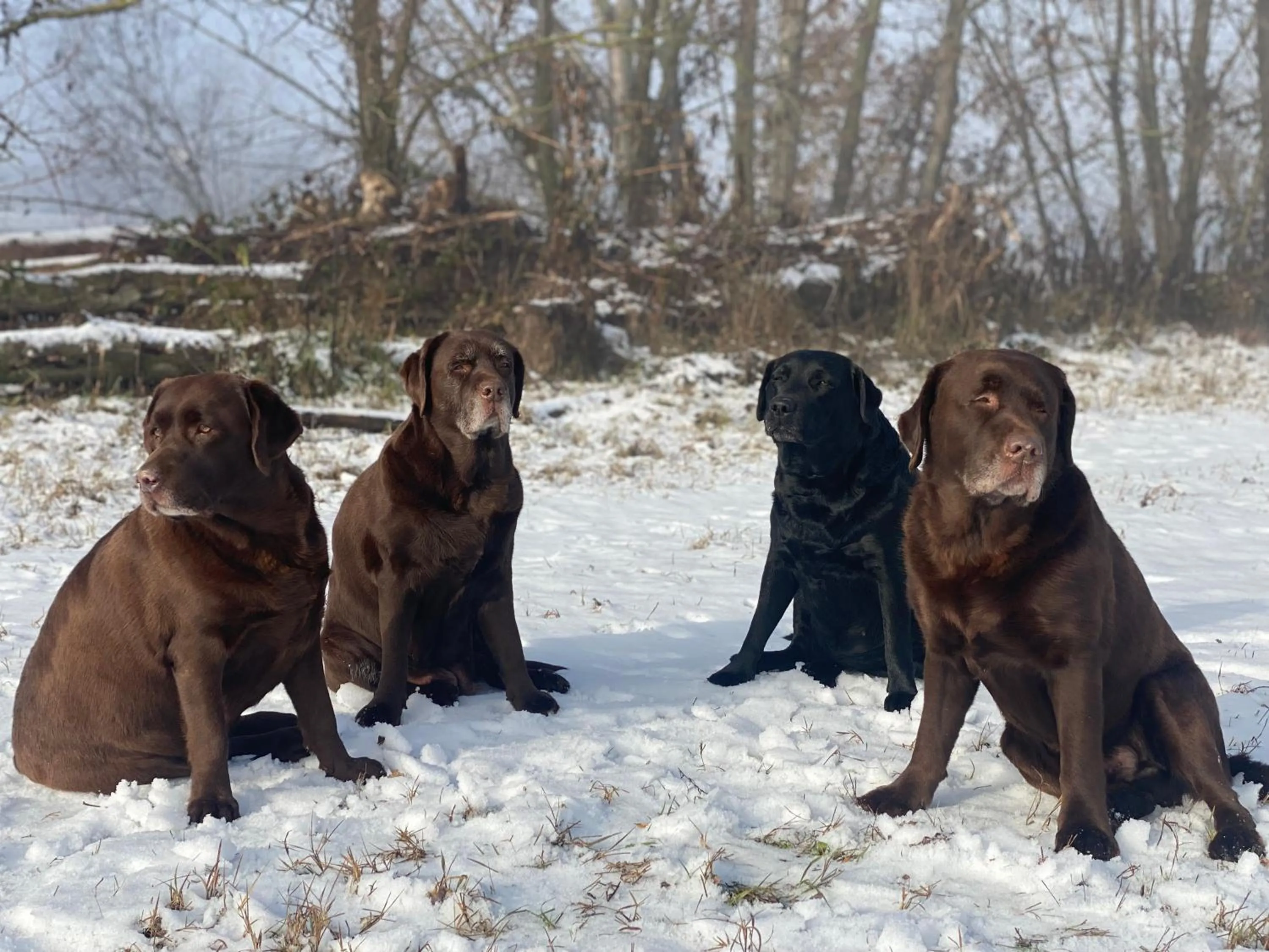 Hotel Cinzia Ristorante Christian e Manuel