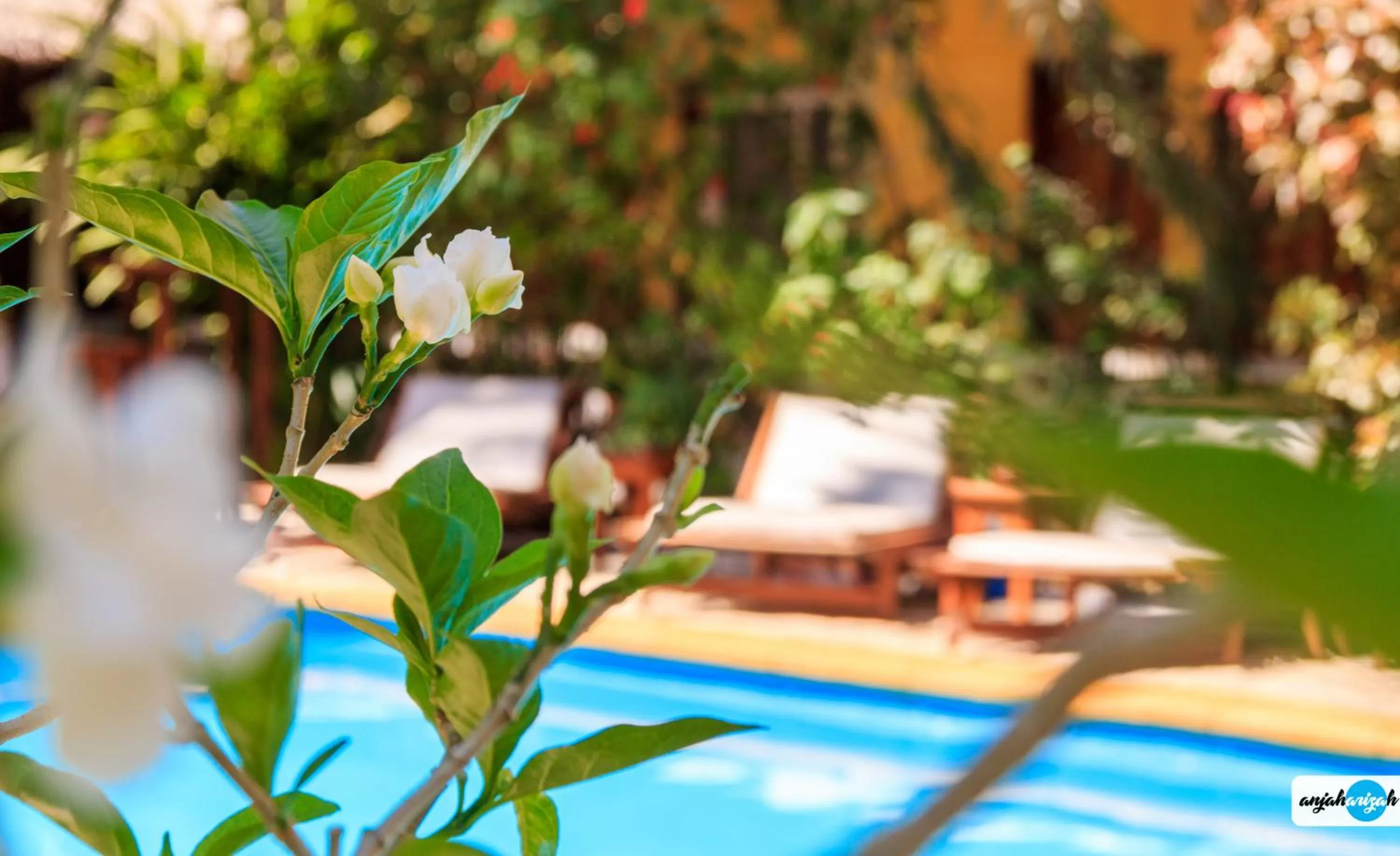 Pool view in Hôtel Restaurant Coco Lodge Majunga