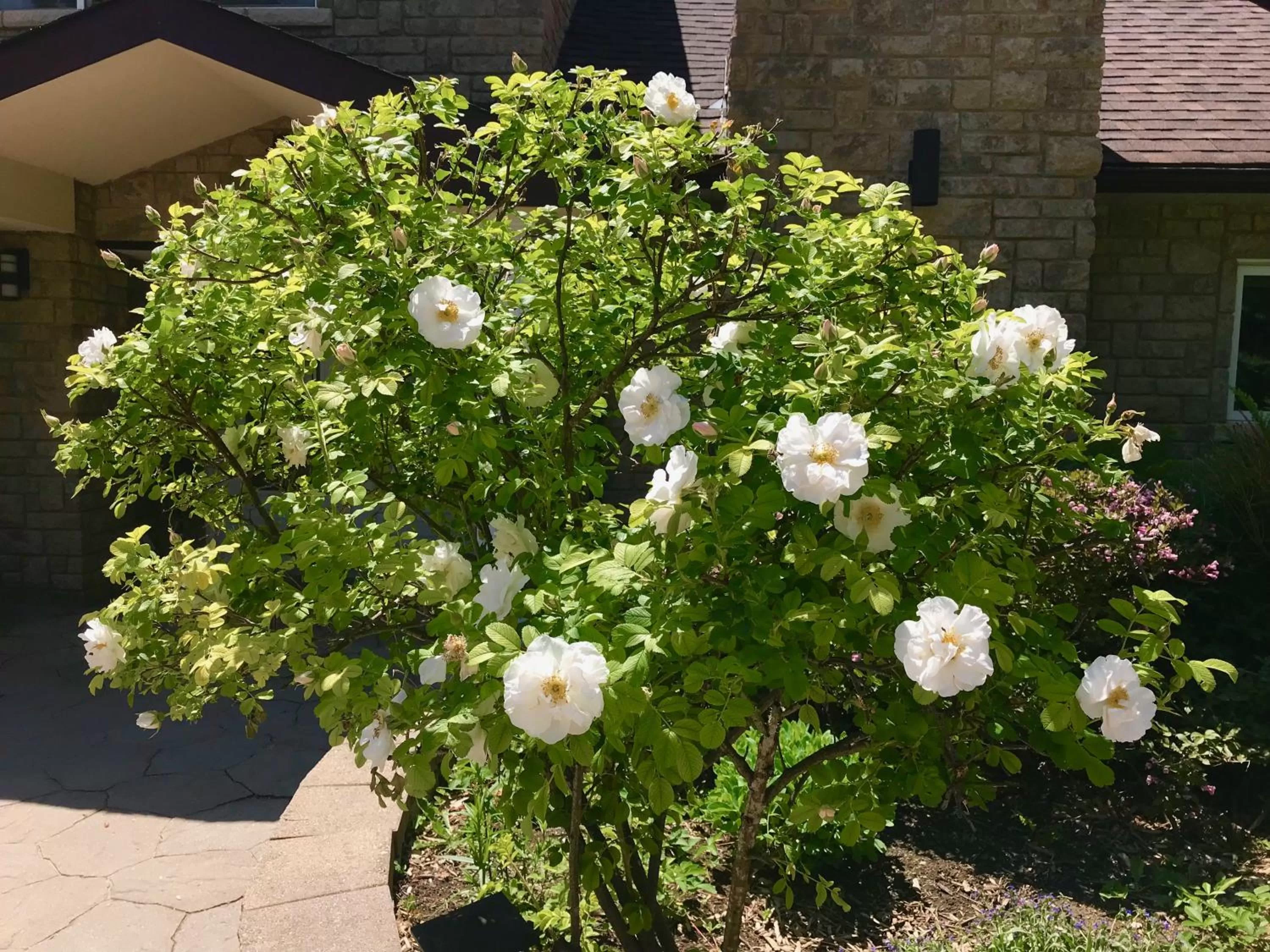 Facade/entrance in Auberge Tom B&B