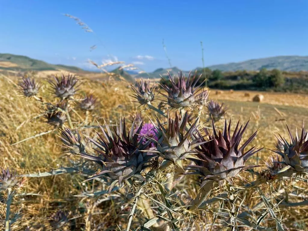 Natural landscape in Corleone GUESTHOUSE