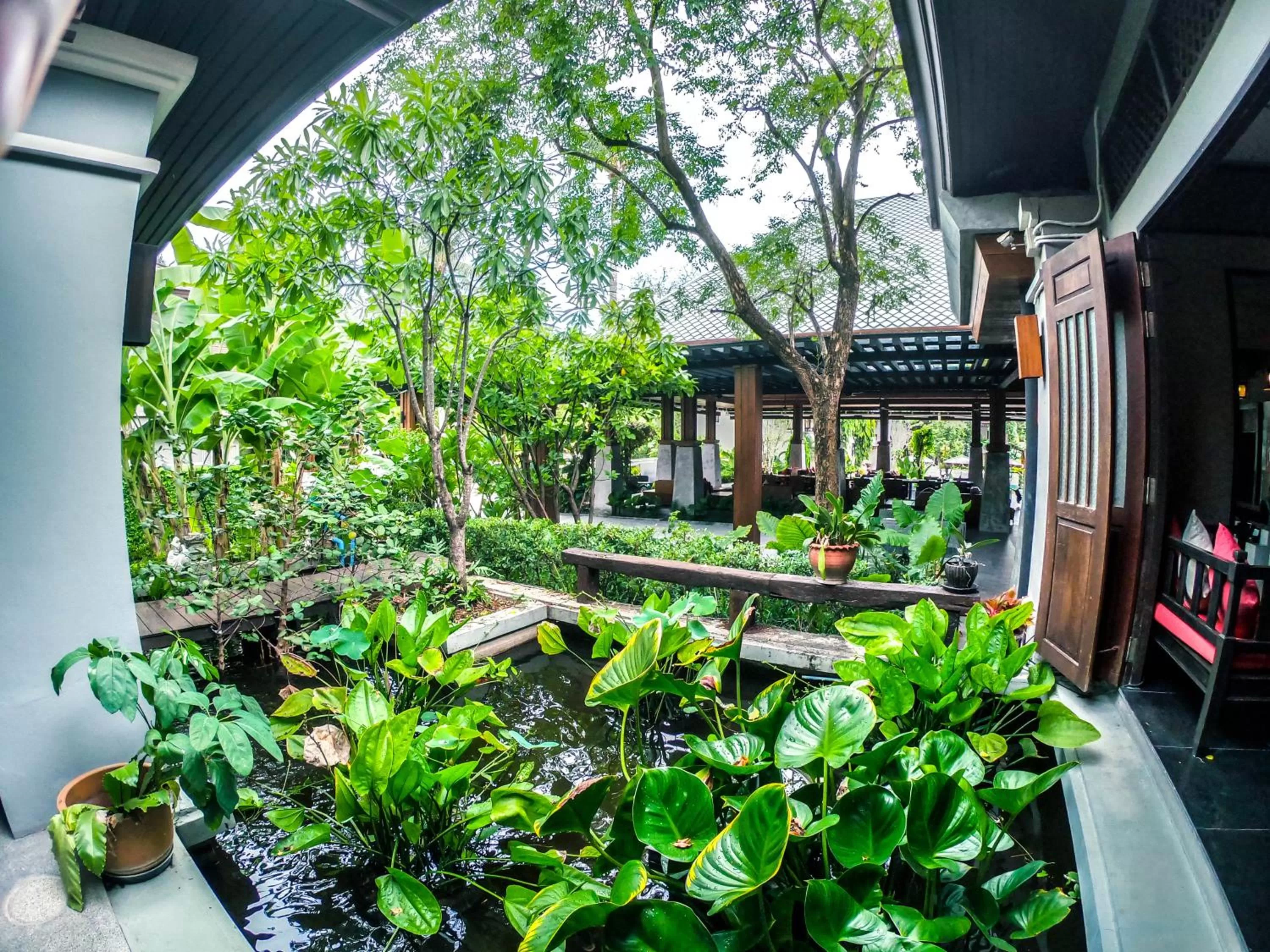 Garden in Chaweng Garden Beach Resort - SHA Plus