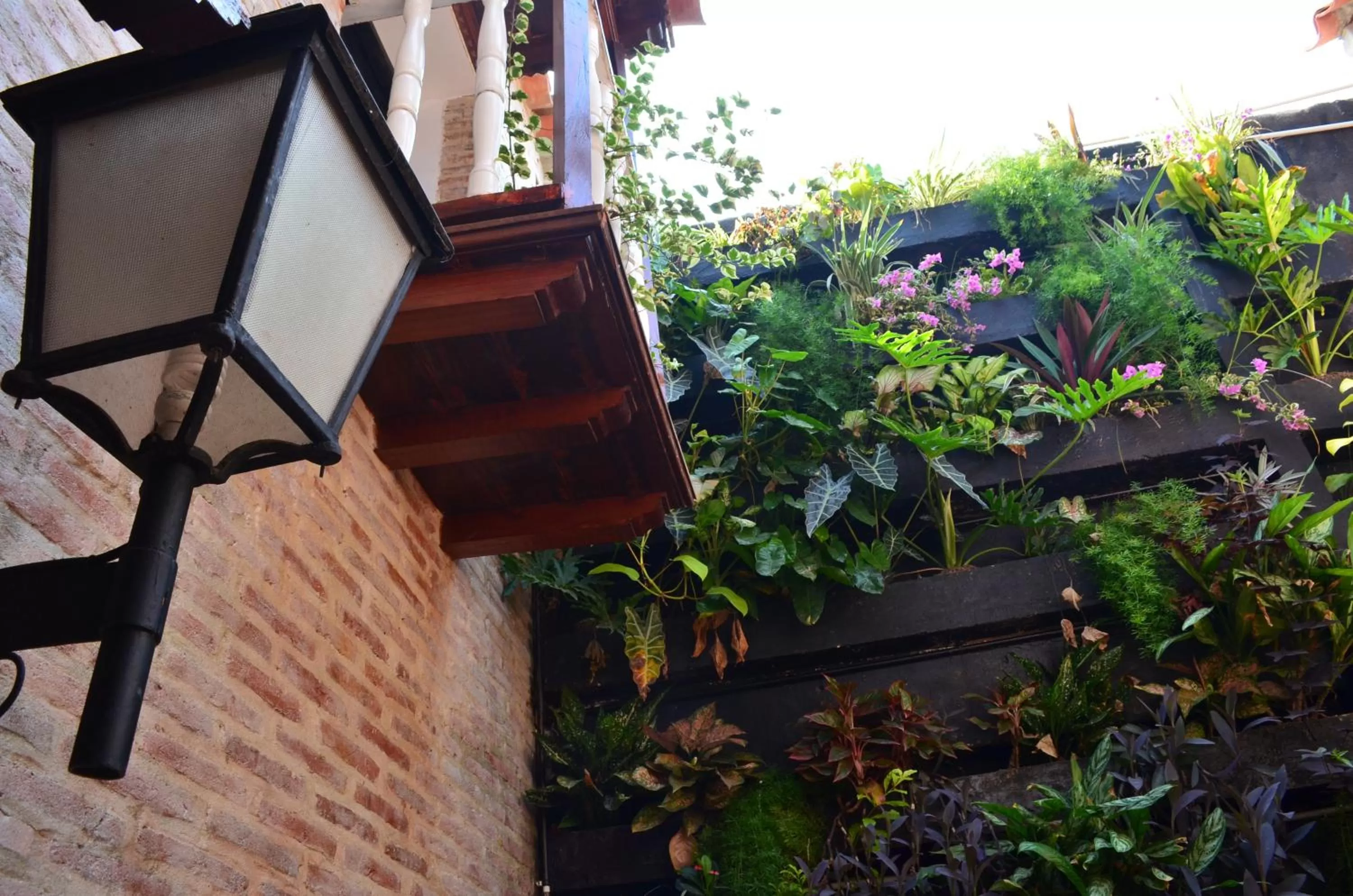 Spring in Hotel Galeria la Trinidad