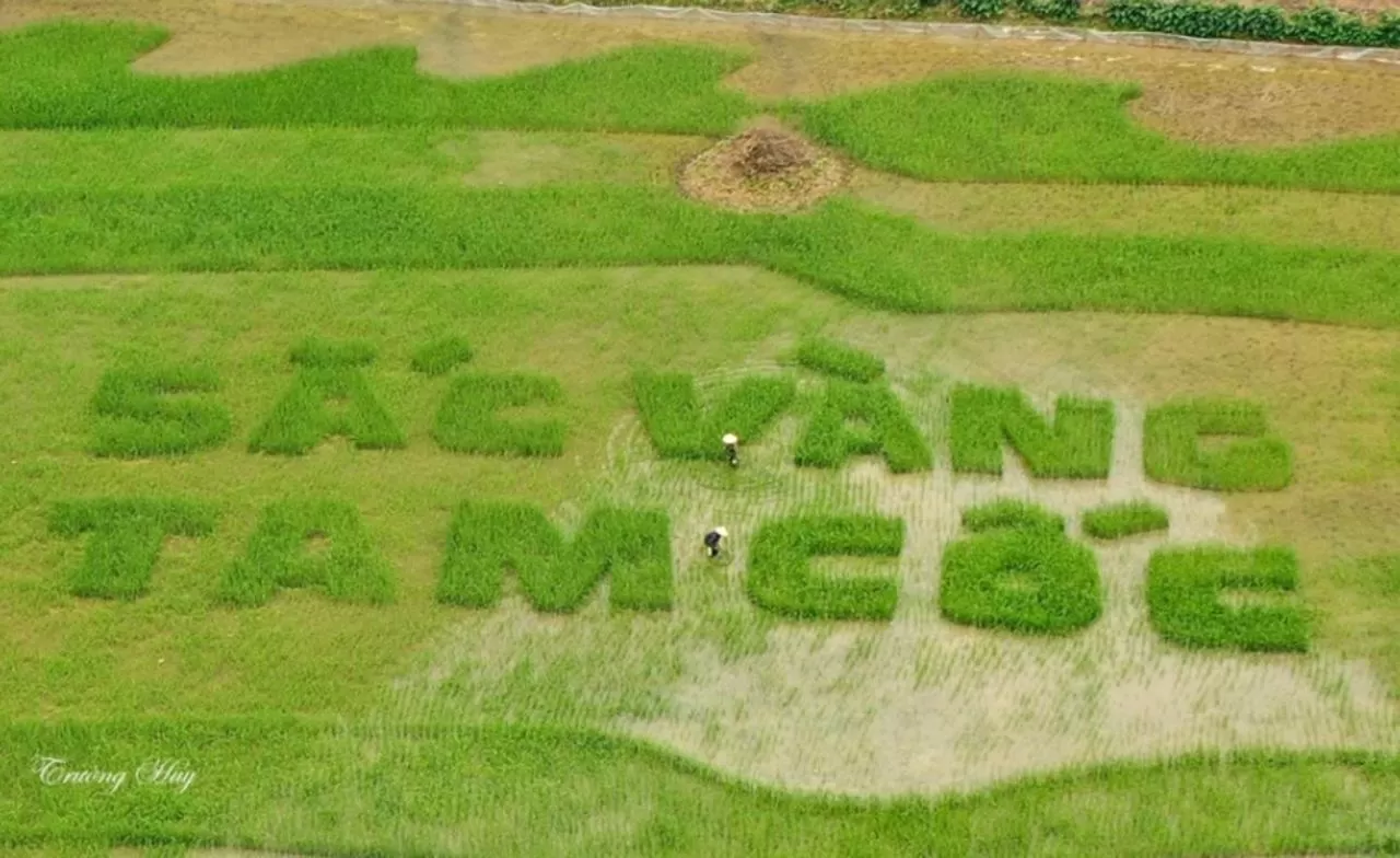 Natural landscape in Green Space Homestay