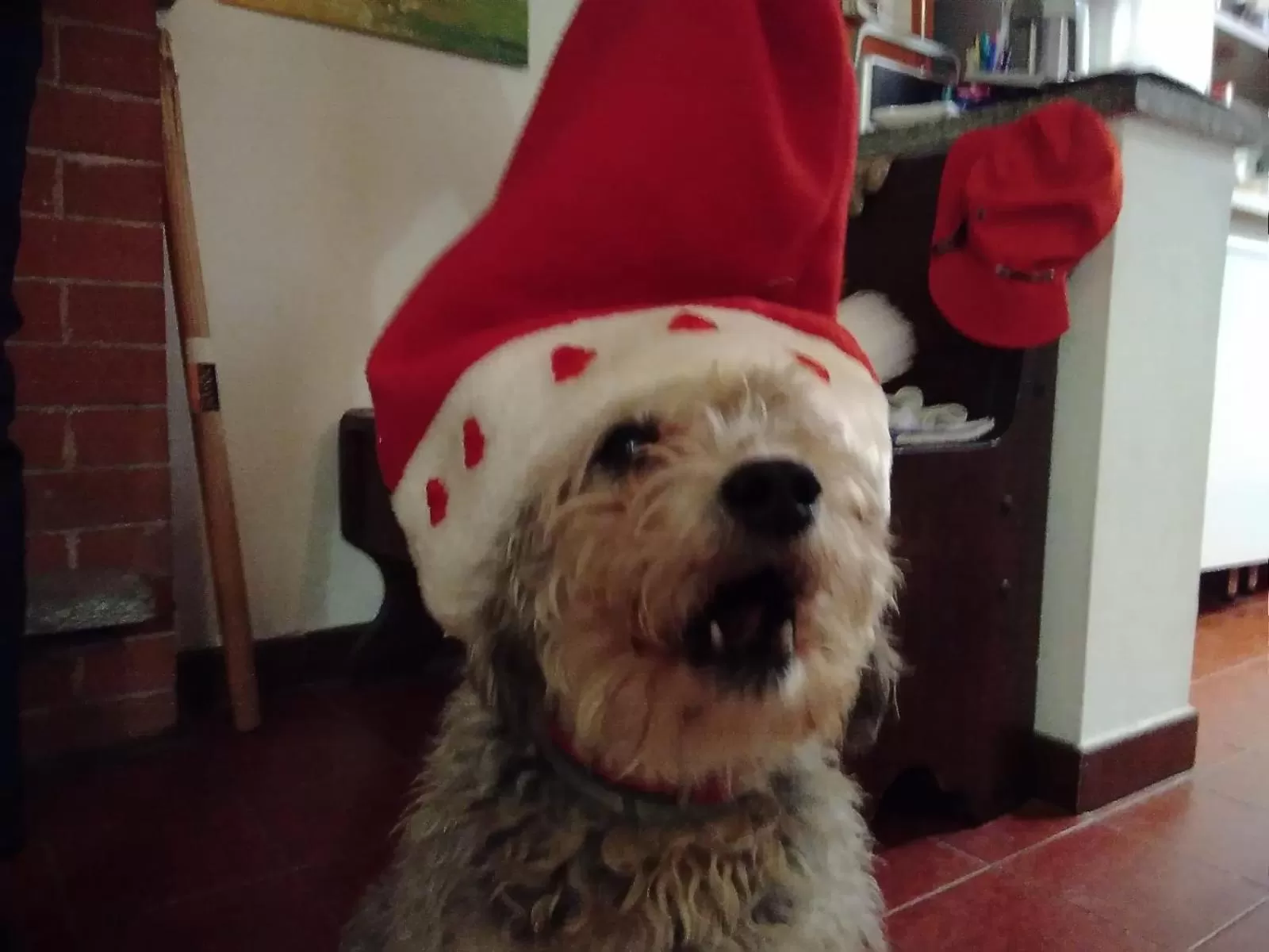 Property building in Cascina Torello