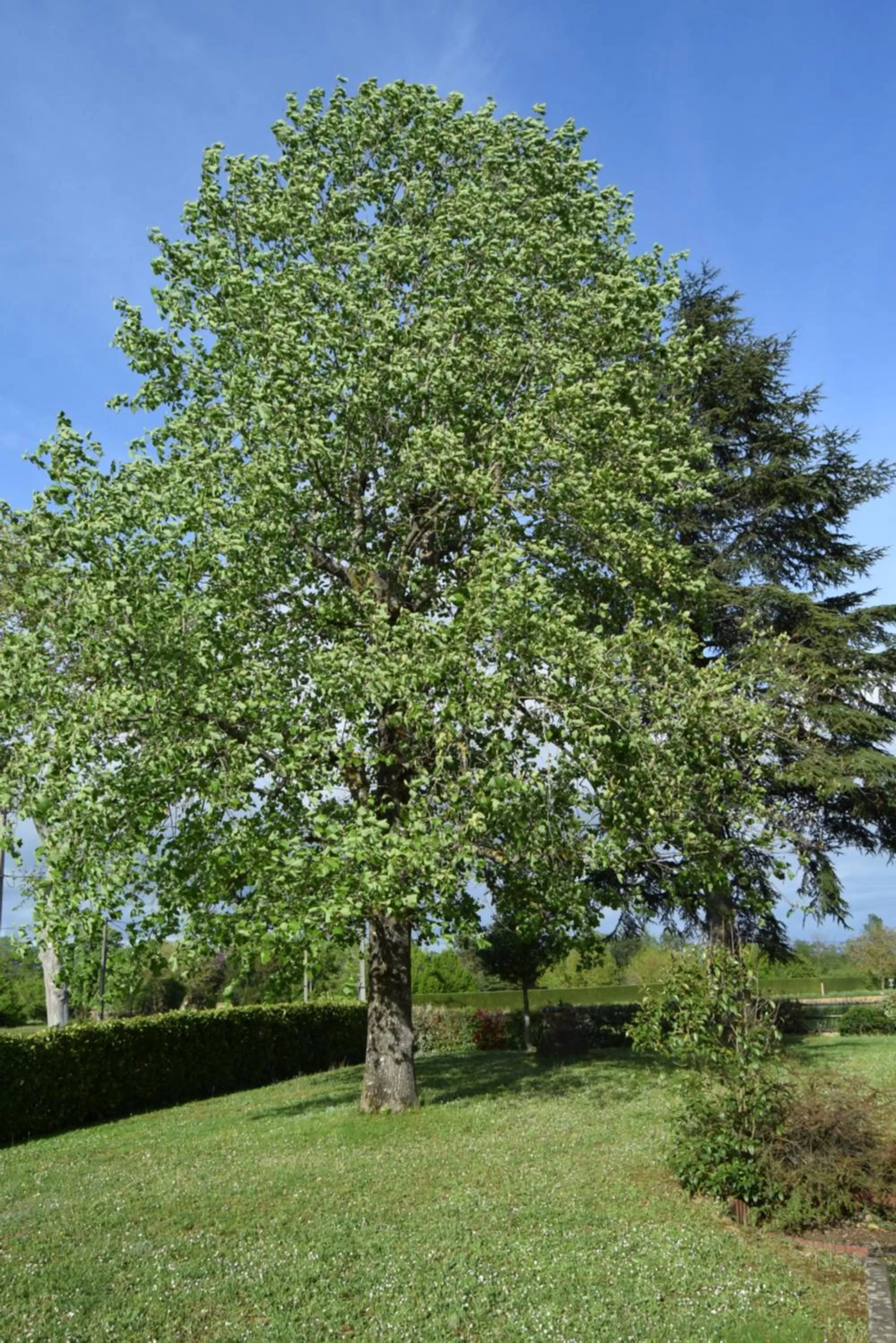 Garden in Le Nid de l'Ecureuil