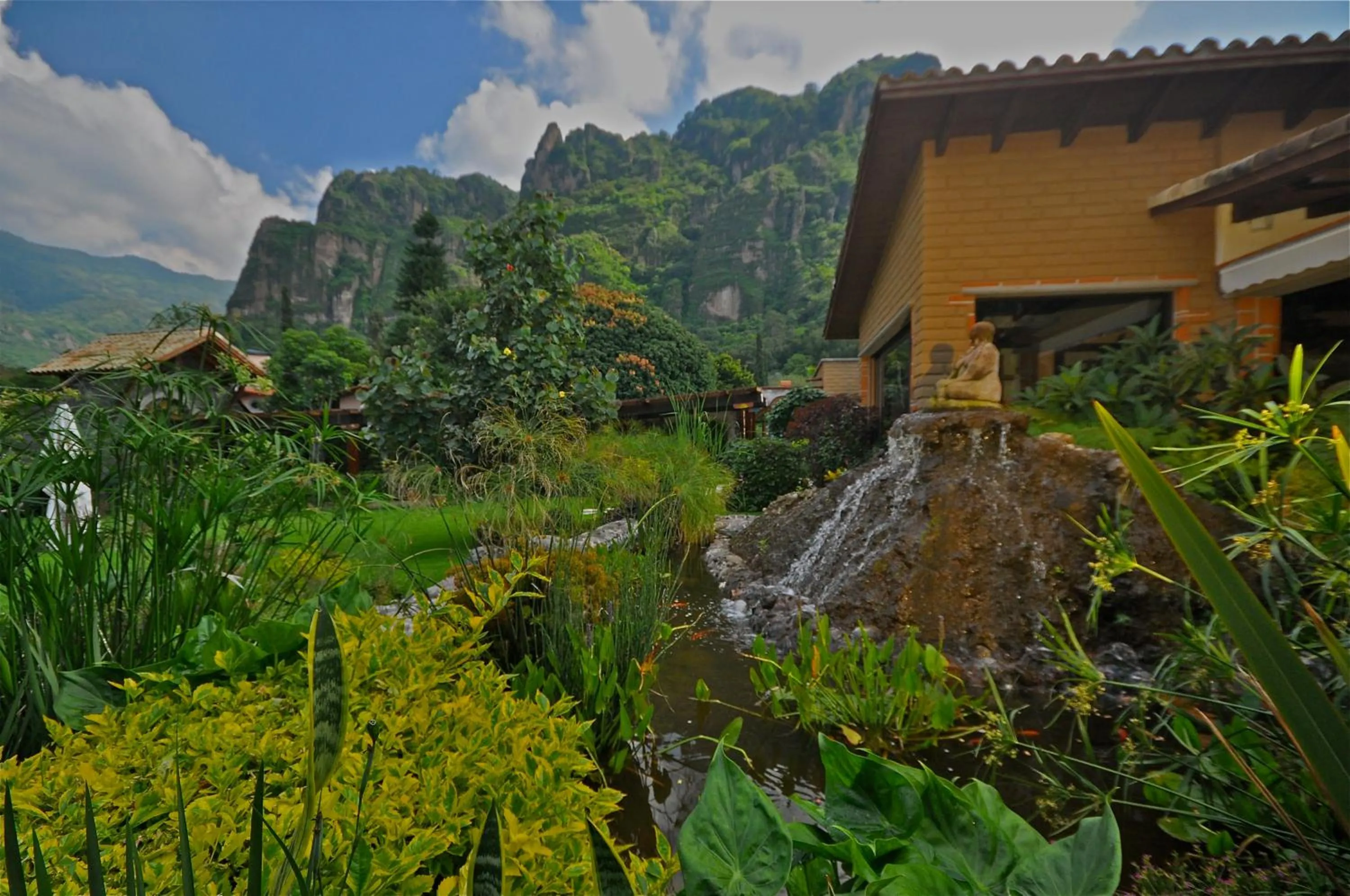 View (from property/room) in La Buena Vibra Wellness Resort & Spa