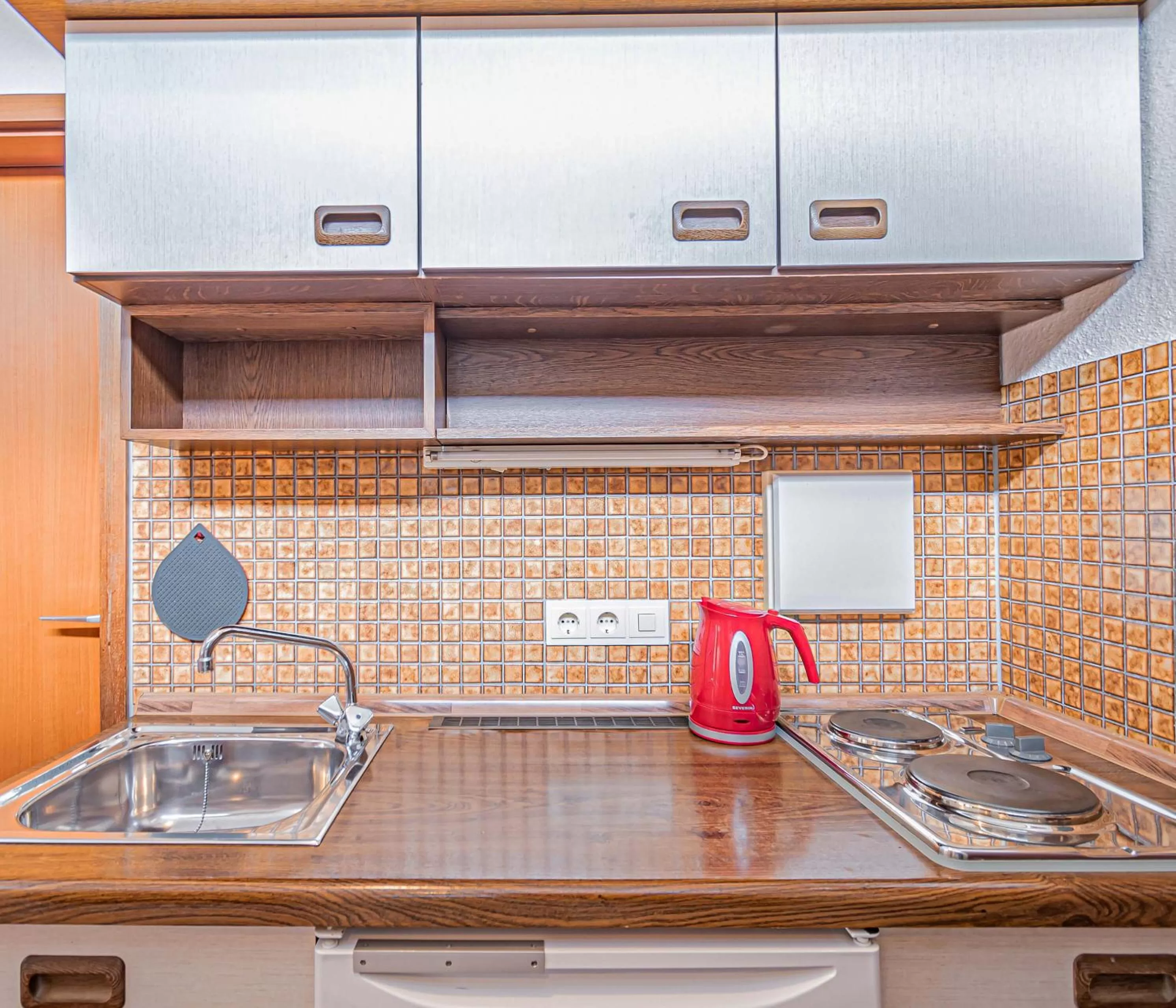 Kitchen or kitchenette in Aparthotel Panorama