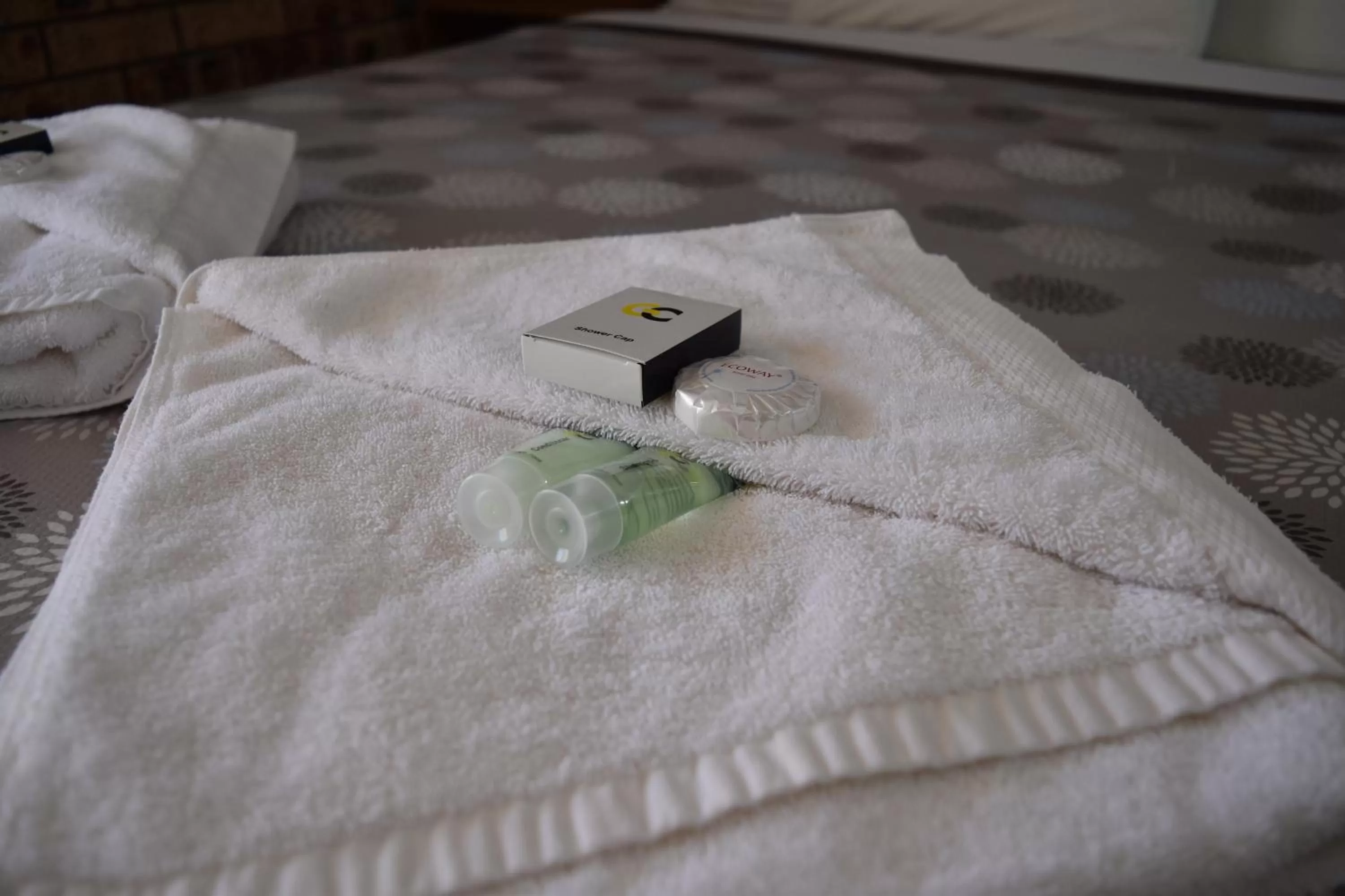 Ten Dollar Town Motel