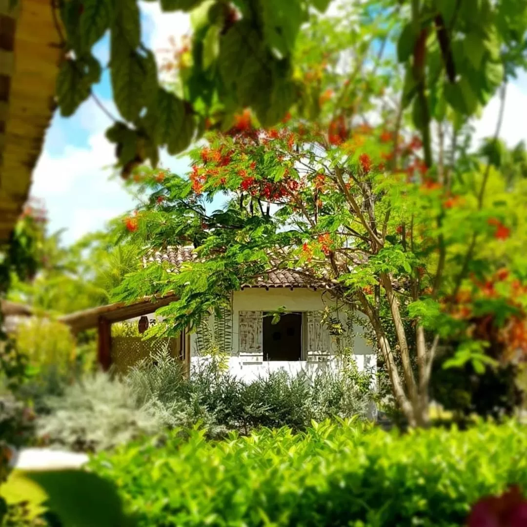 Photo of the whole room, Property Building in Pousada Villages Boutique Hotel