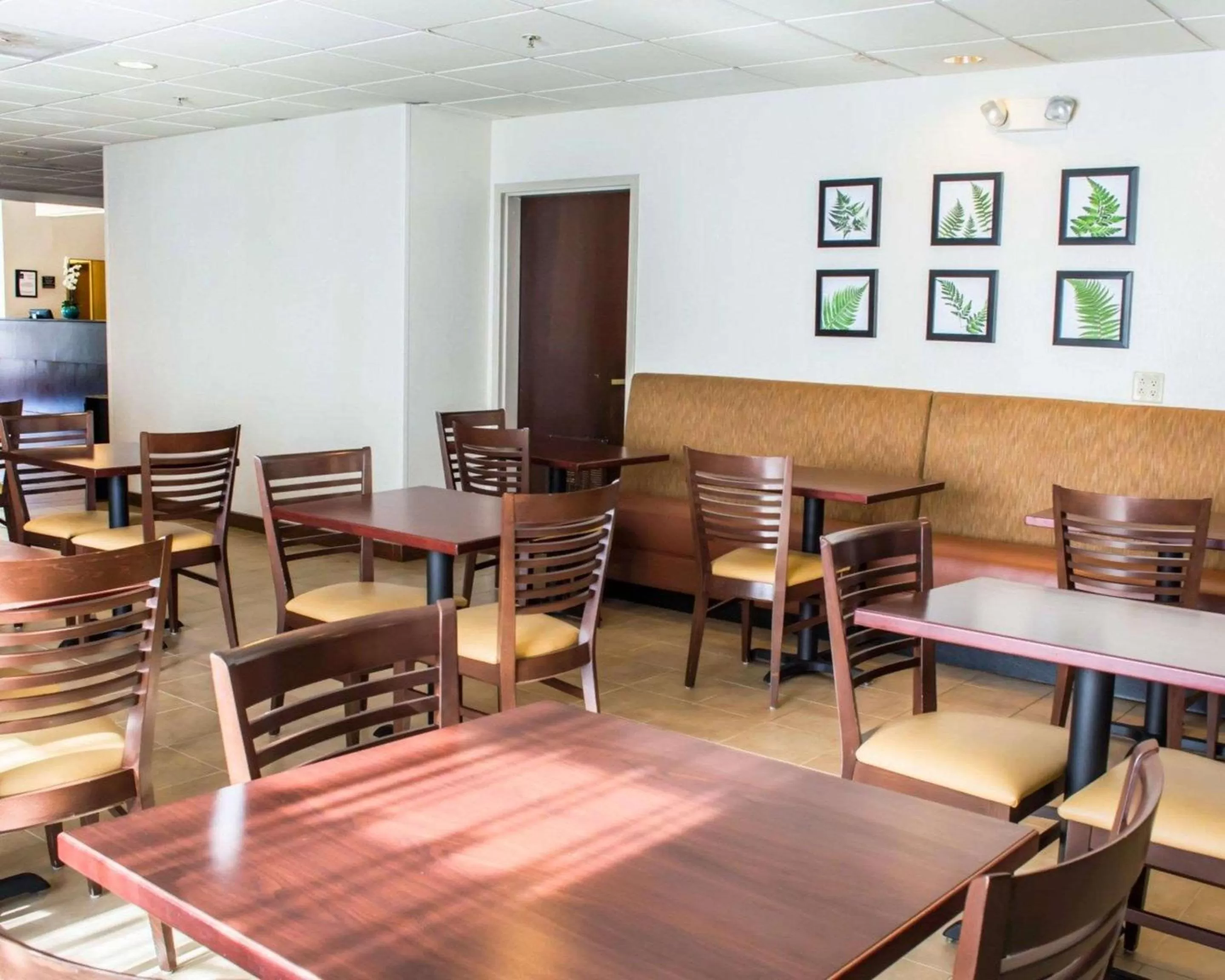 Restaurant/places to eat in Sleep Inn & Suites Monticello