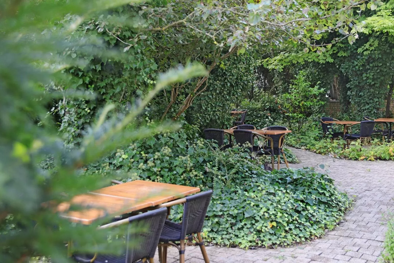 Garden in Hotel Les Dunes