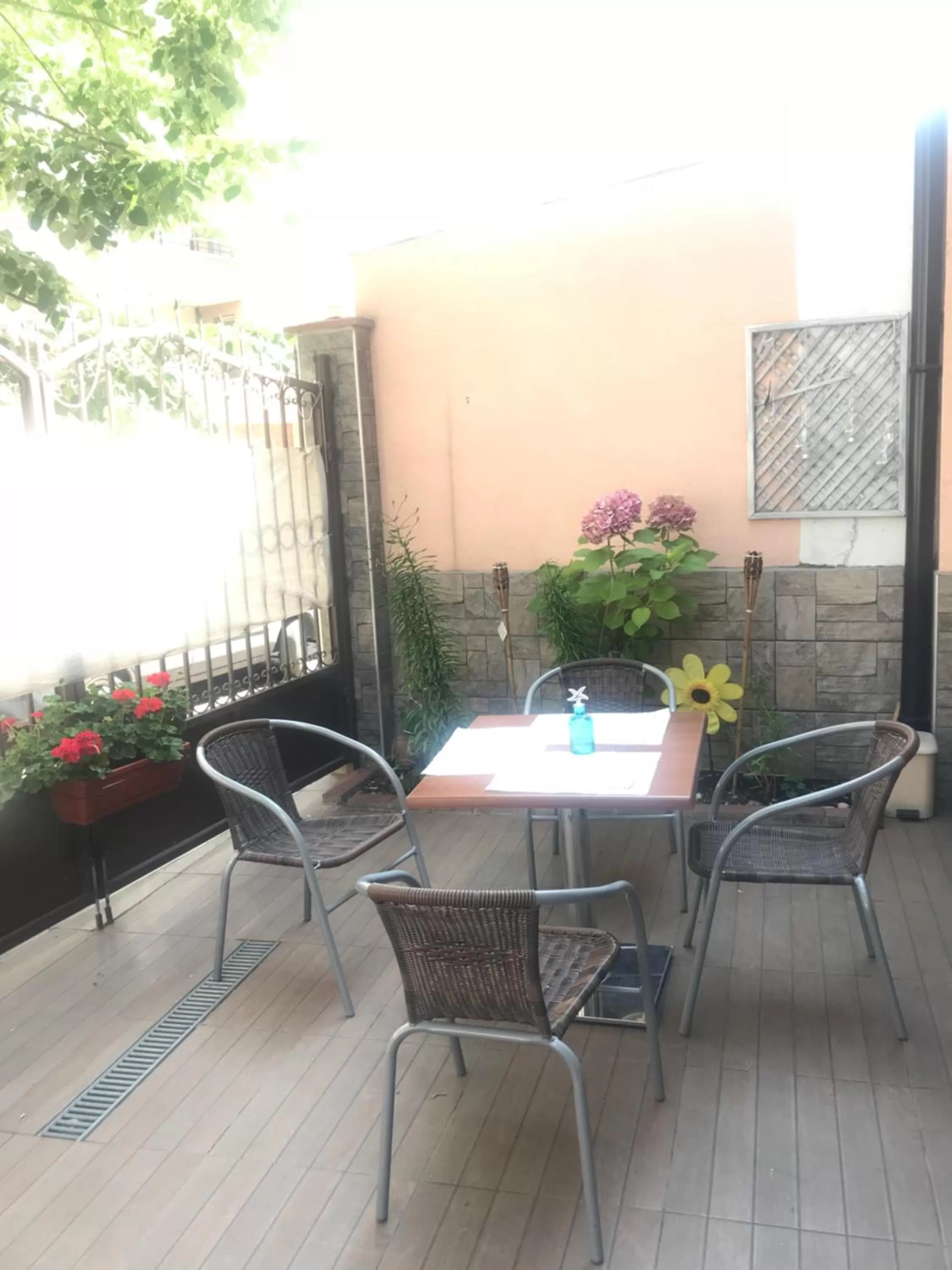 Garden in White Rose Family Guest House