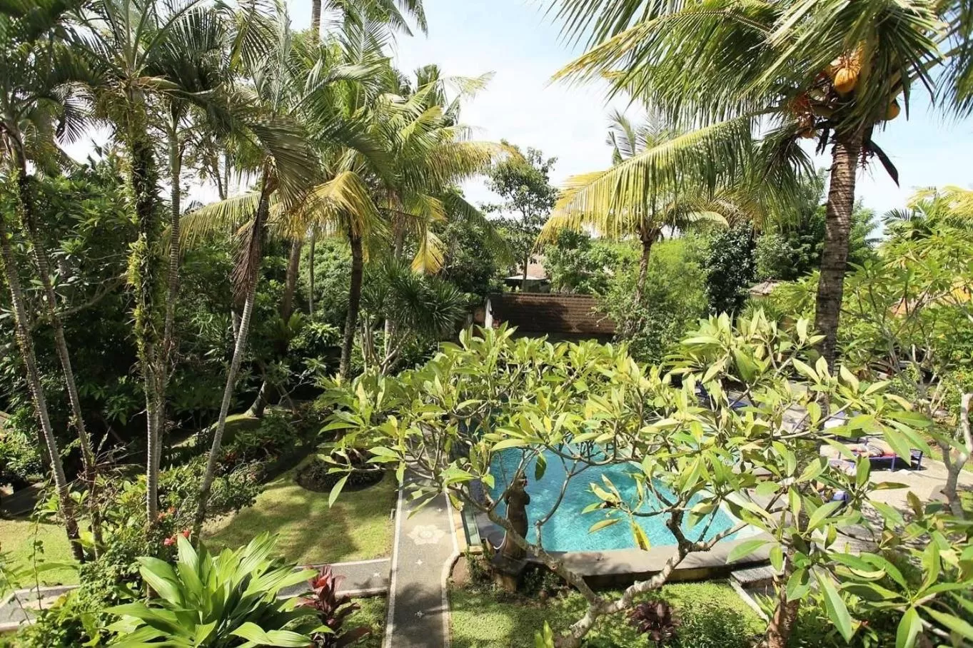 Garden in White House