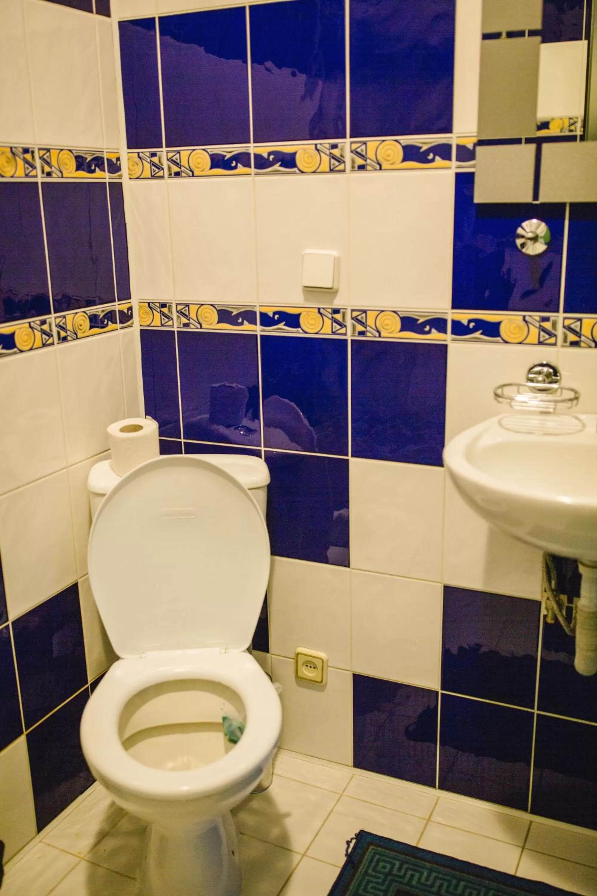 Bathroom in Kolyba Opryshkiv