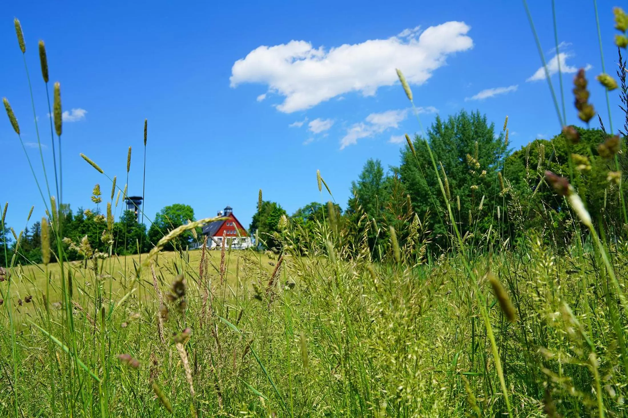 Property Building in Hotel und Restaurant Bühlhaus