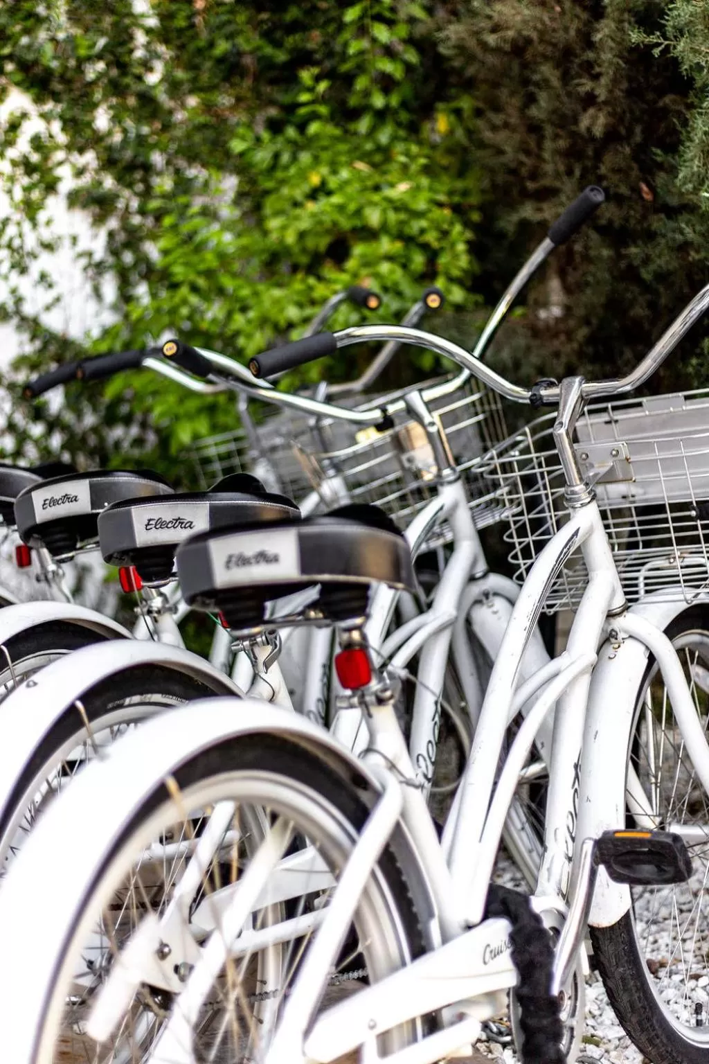 Cycling in Alcazar Palm Springs