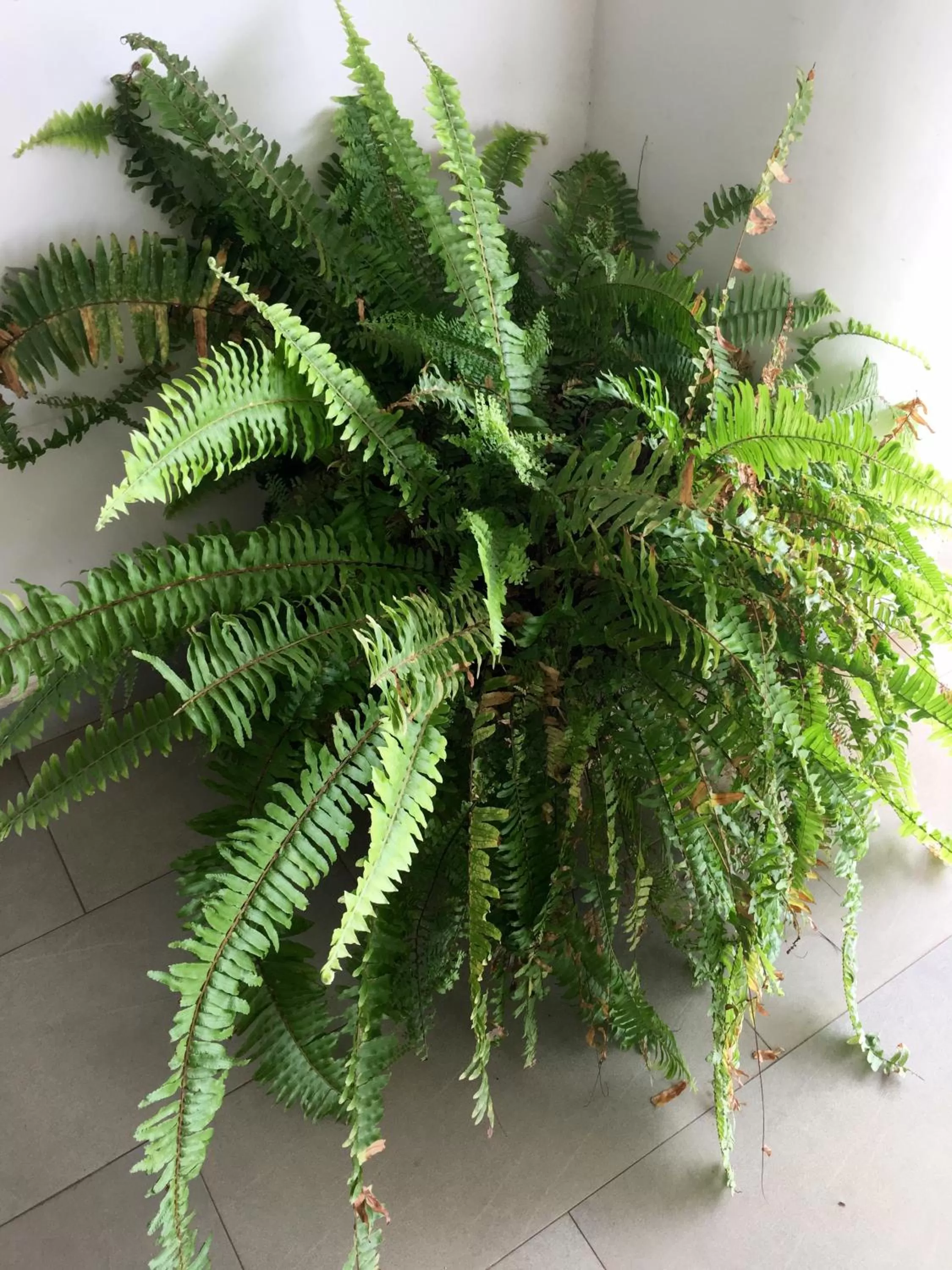 Decorative detail in Annexe de l'Hotel de la Poste