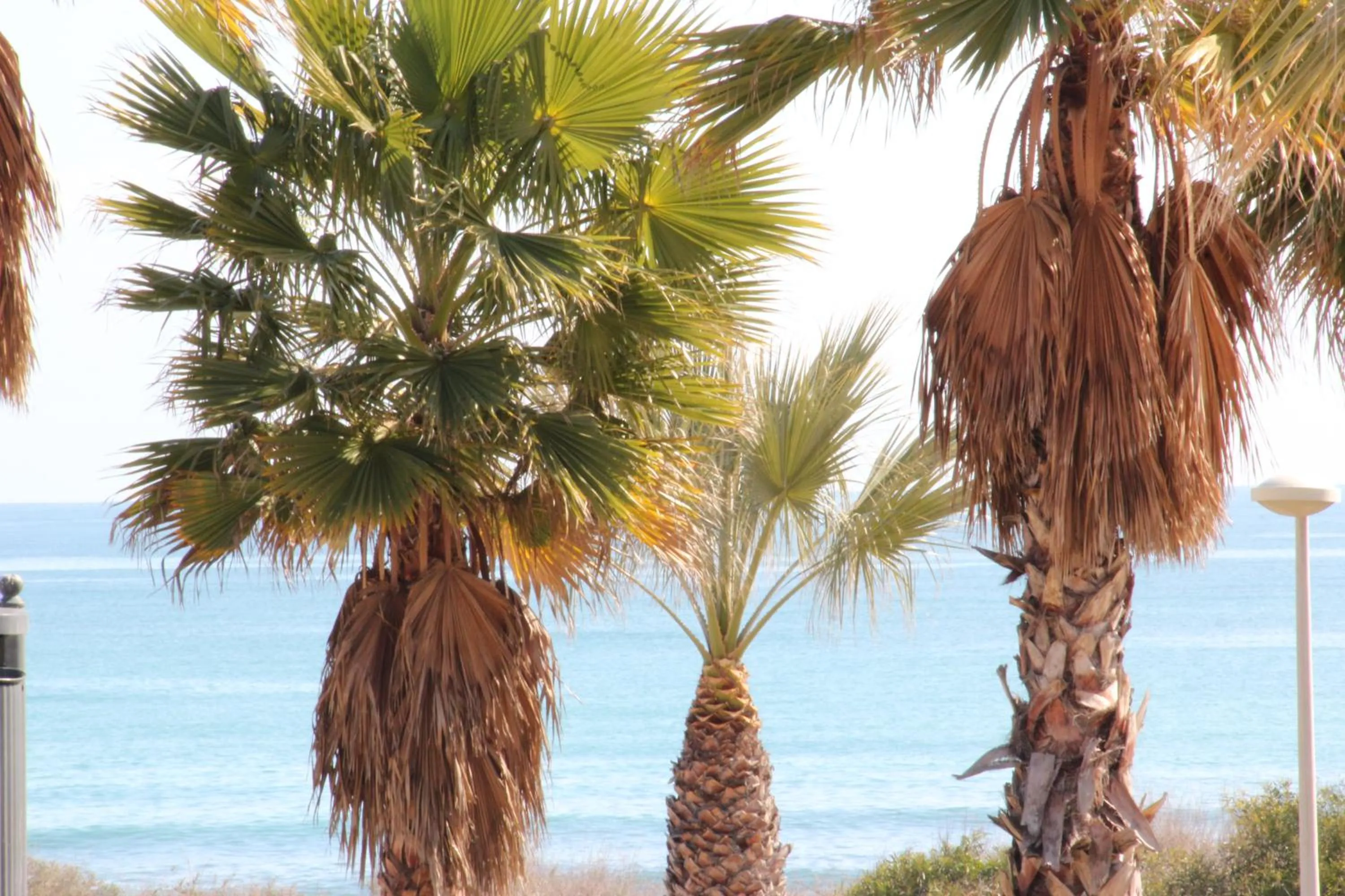 Area and facilities in Ibis Budget Alicante