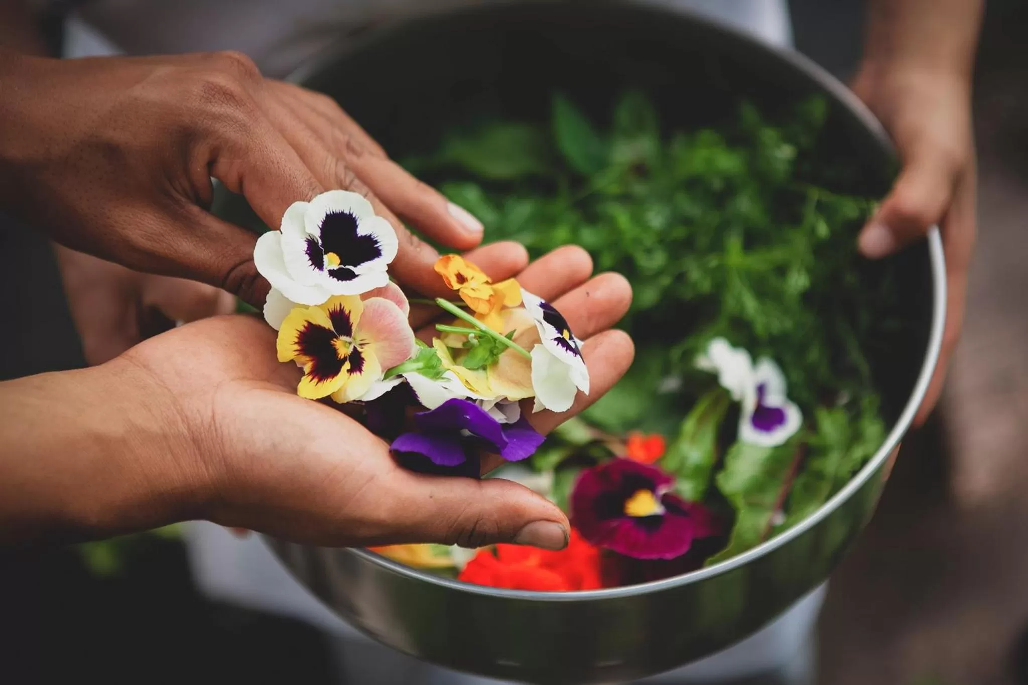 Patio in Huayacán Cuernavaca Curamoria Collection