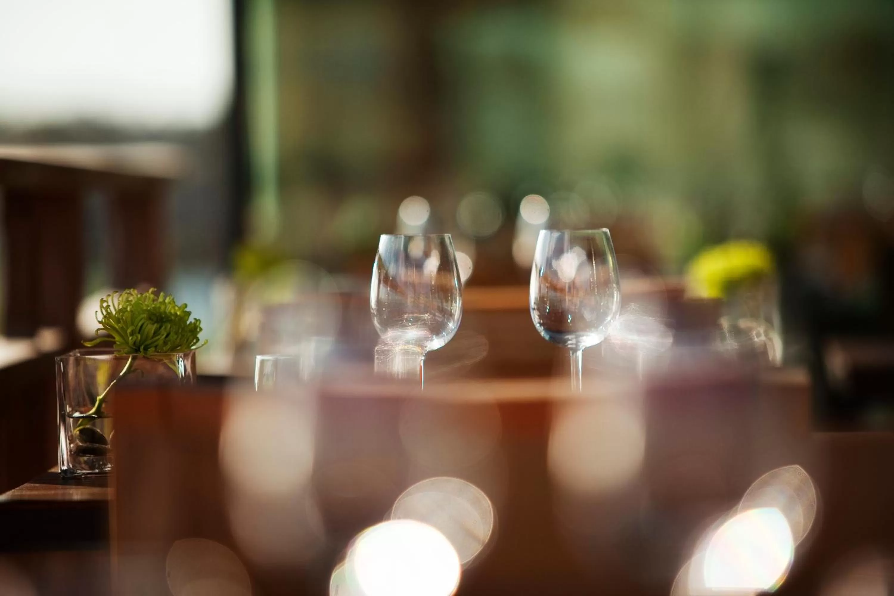 Restaurant/places to eat in Grand Hotel de L'Océan