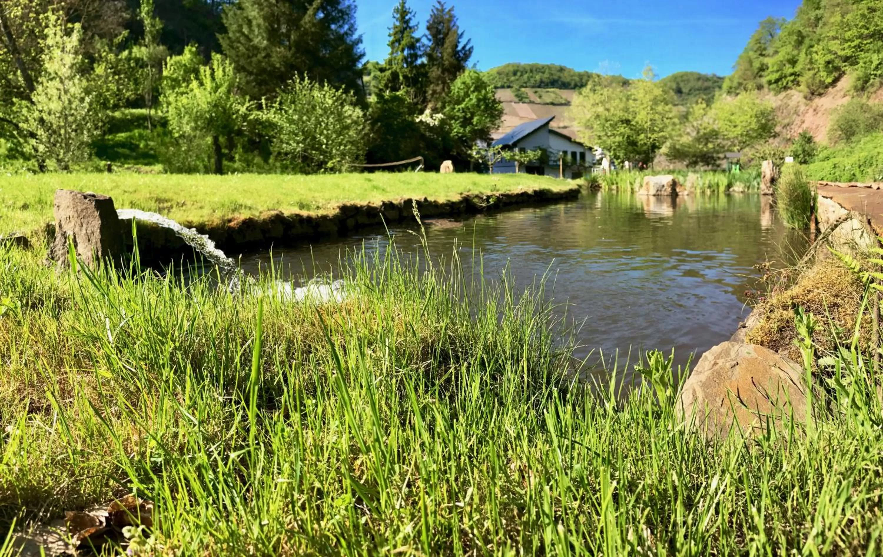 Spring in Hotel Ostermann